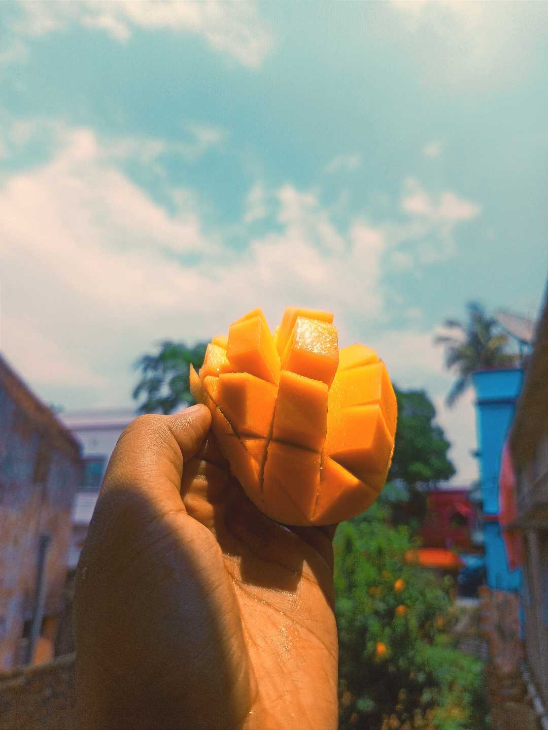 mango season 🙌♥️