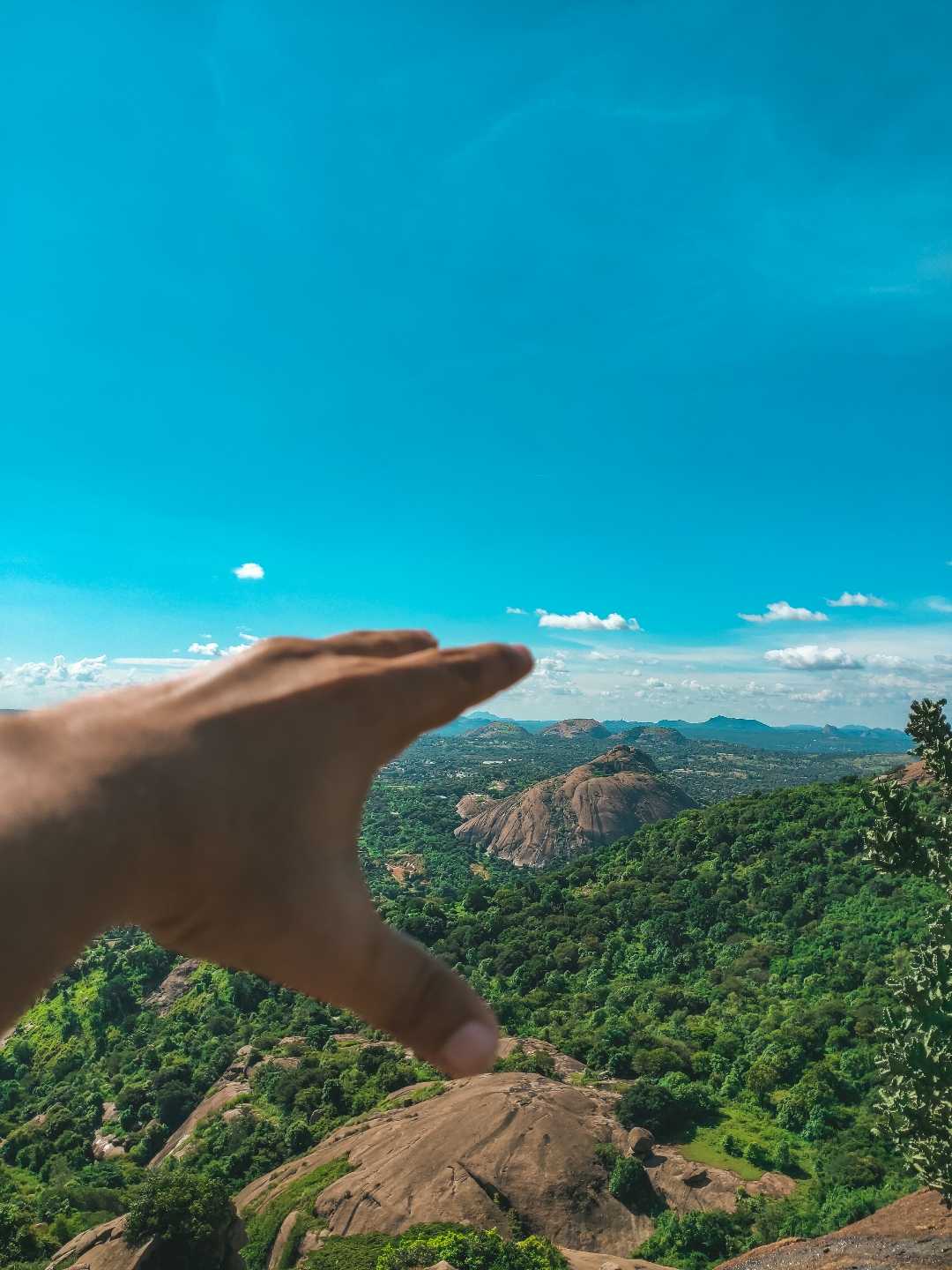LOB 😍
