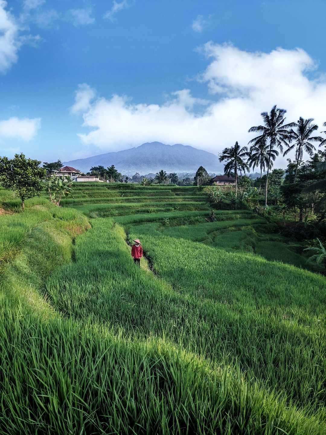 View Salak Mountain and Terrace 