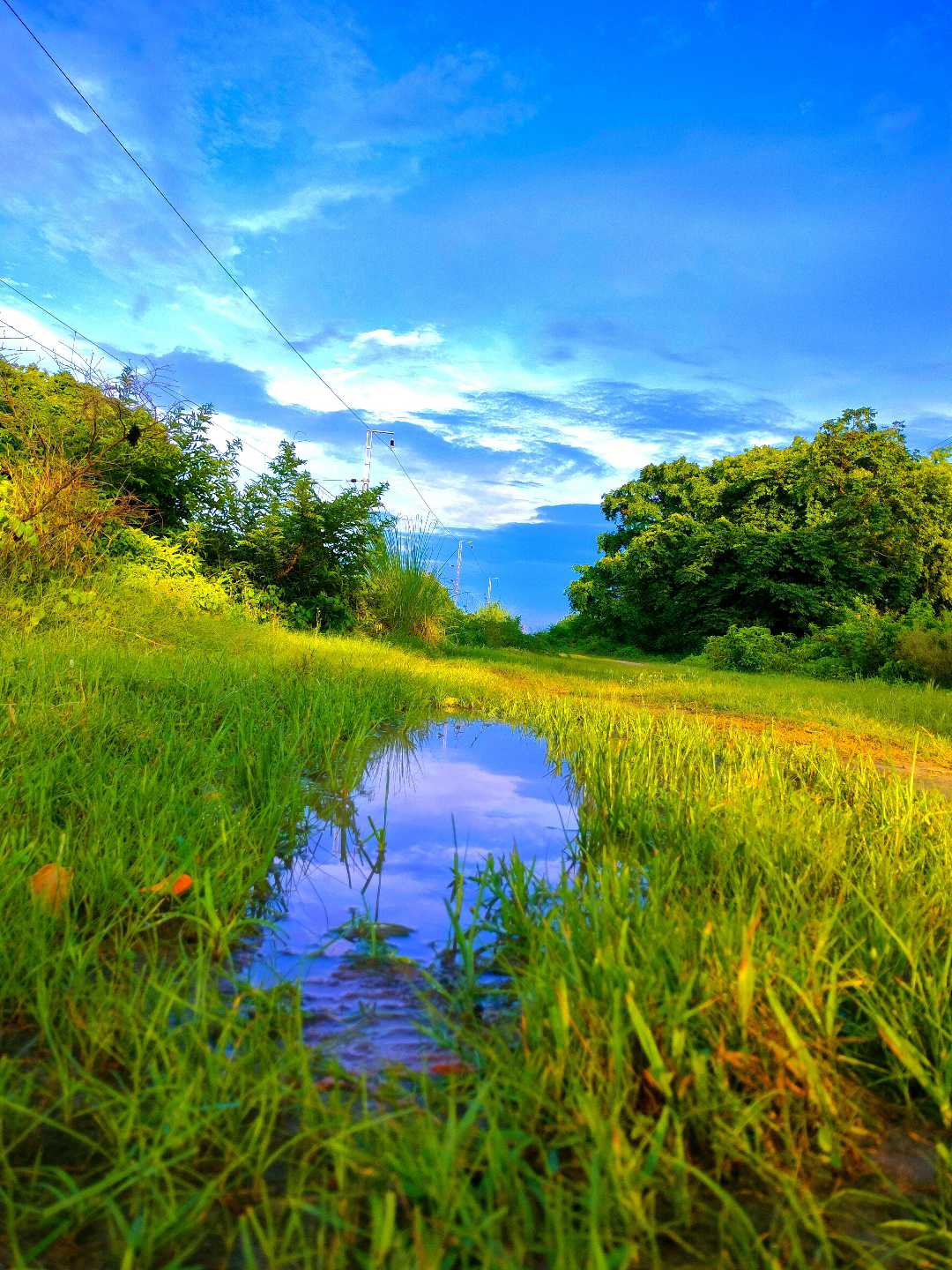 Nature Scenery 