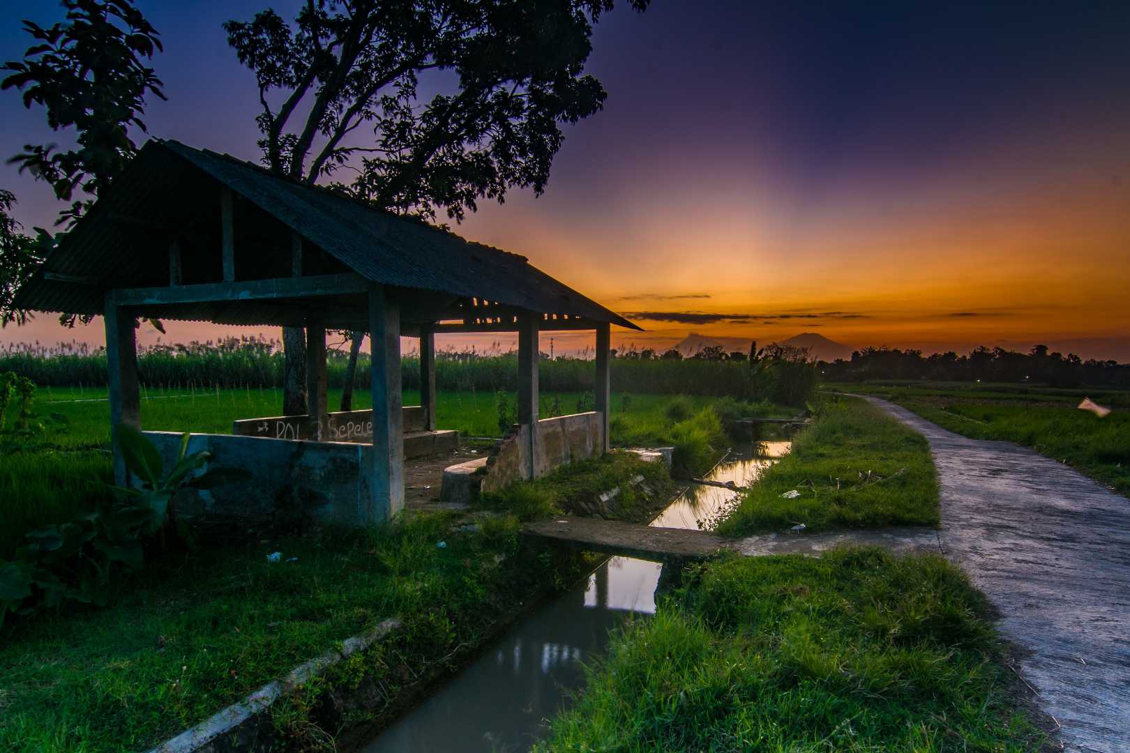sunset pematang sawah