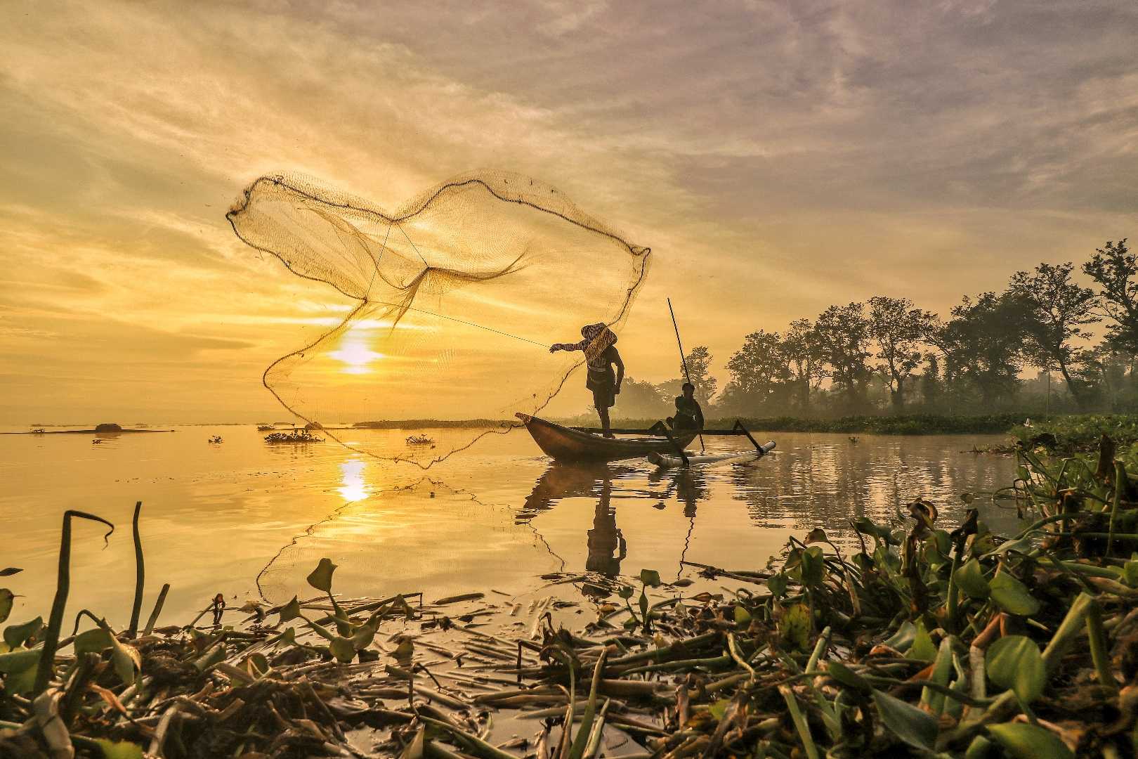 Jaring Nelayan