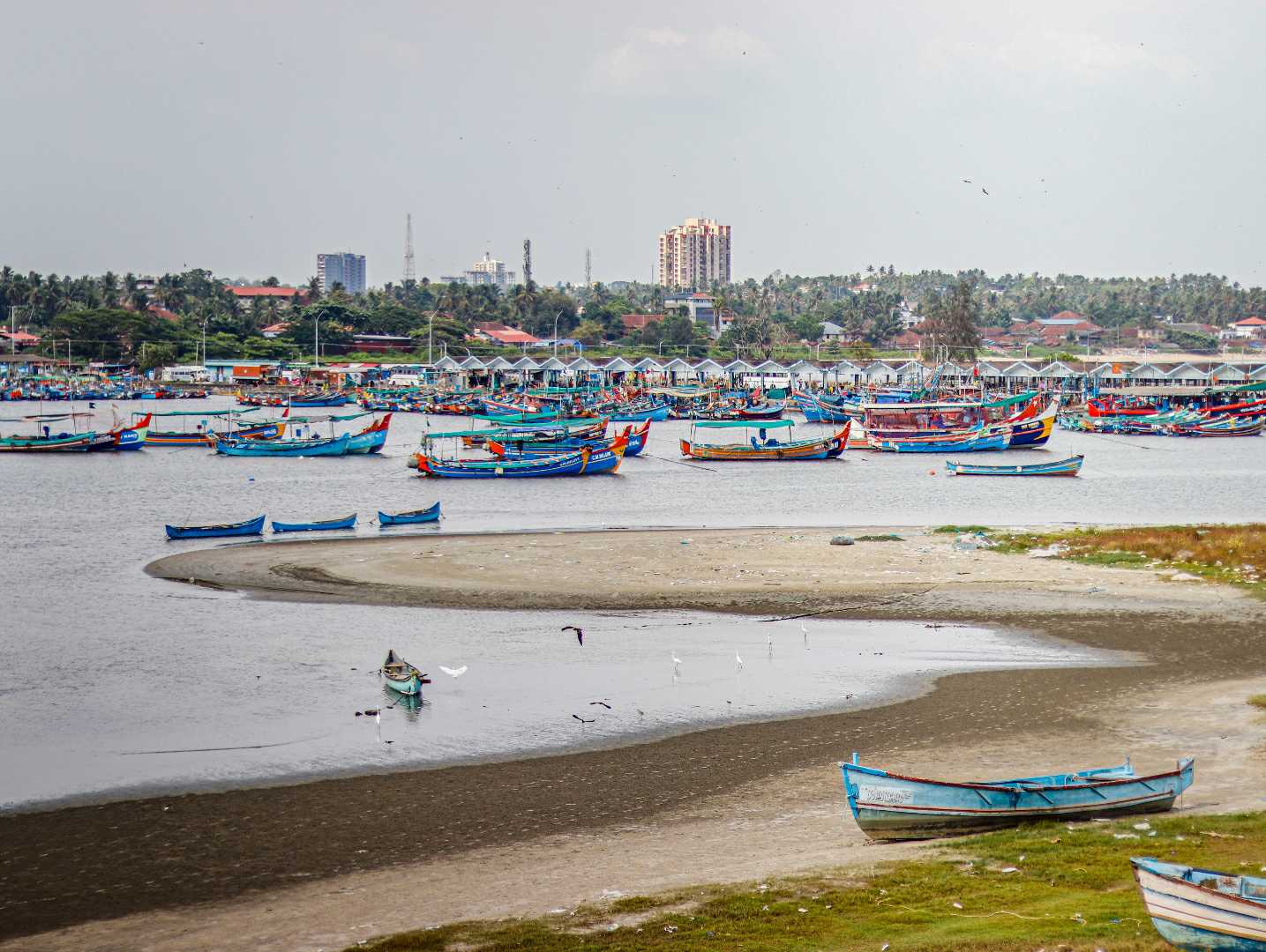 Fishing Harbour 