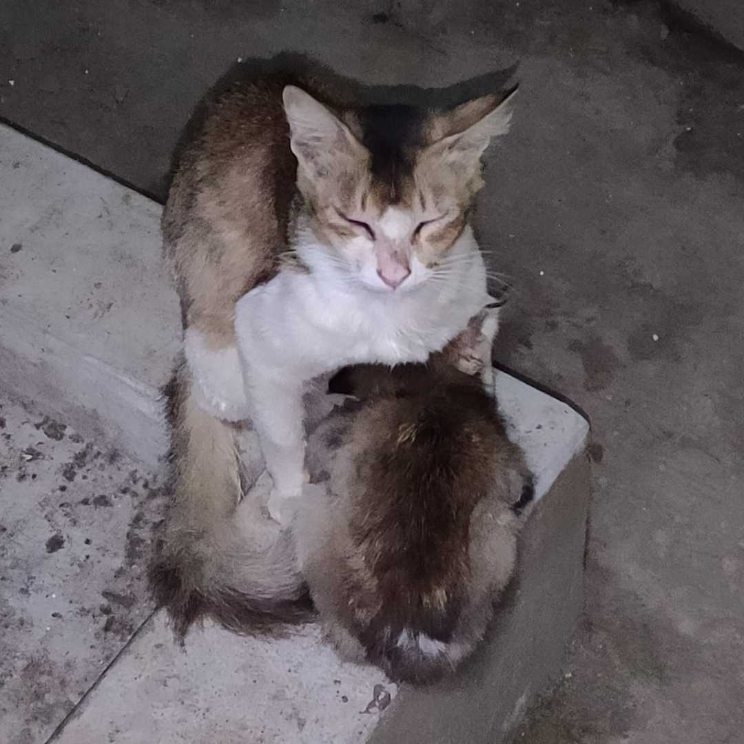 baby feeding