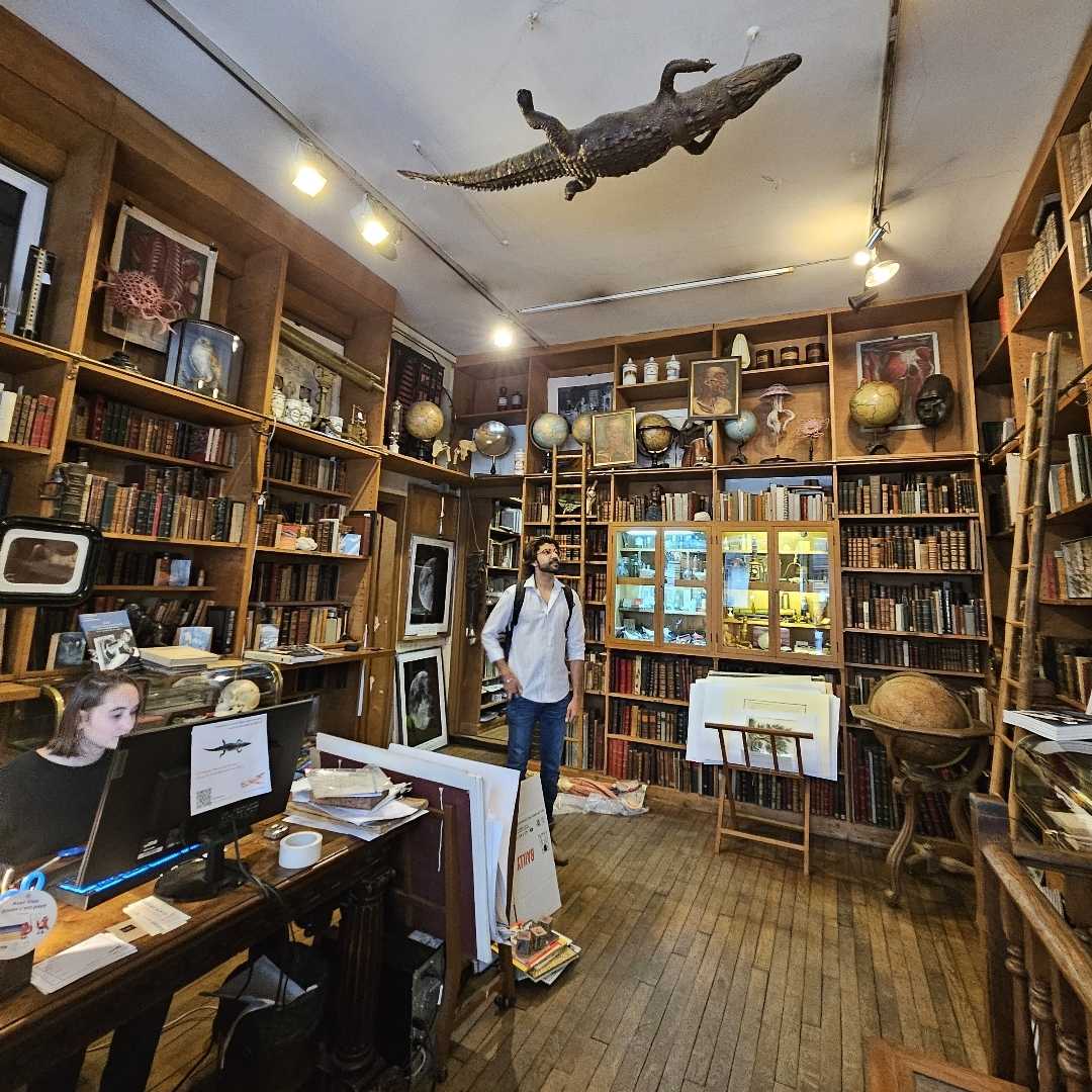 알렝 브리오 서점 Librairie Alain Brieux