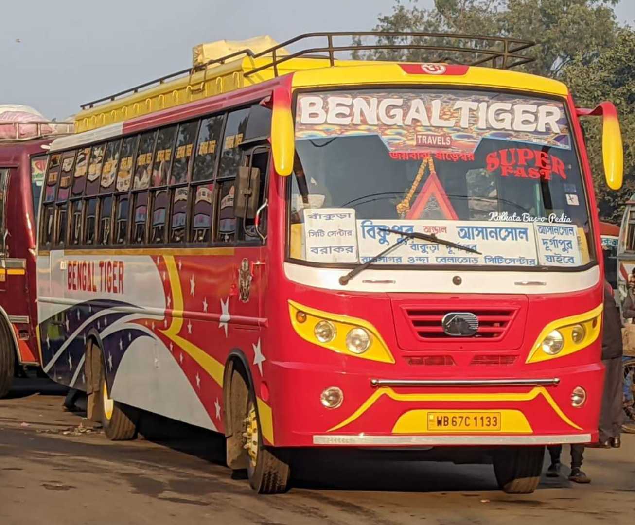 BENGAL TIGER!