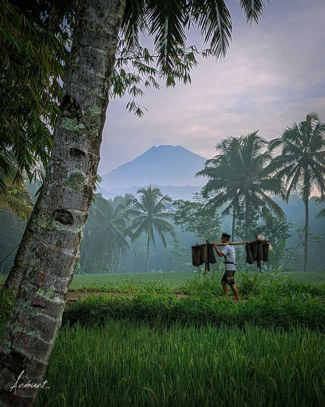 Kearifan Lokal