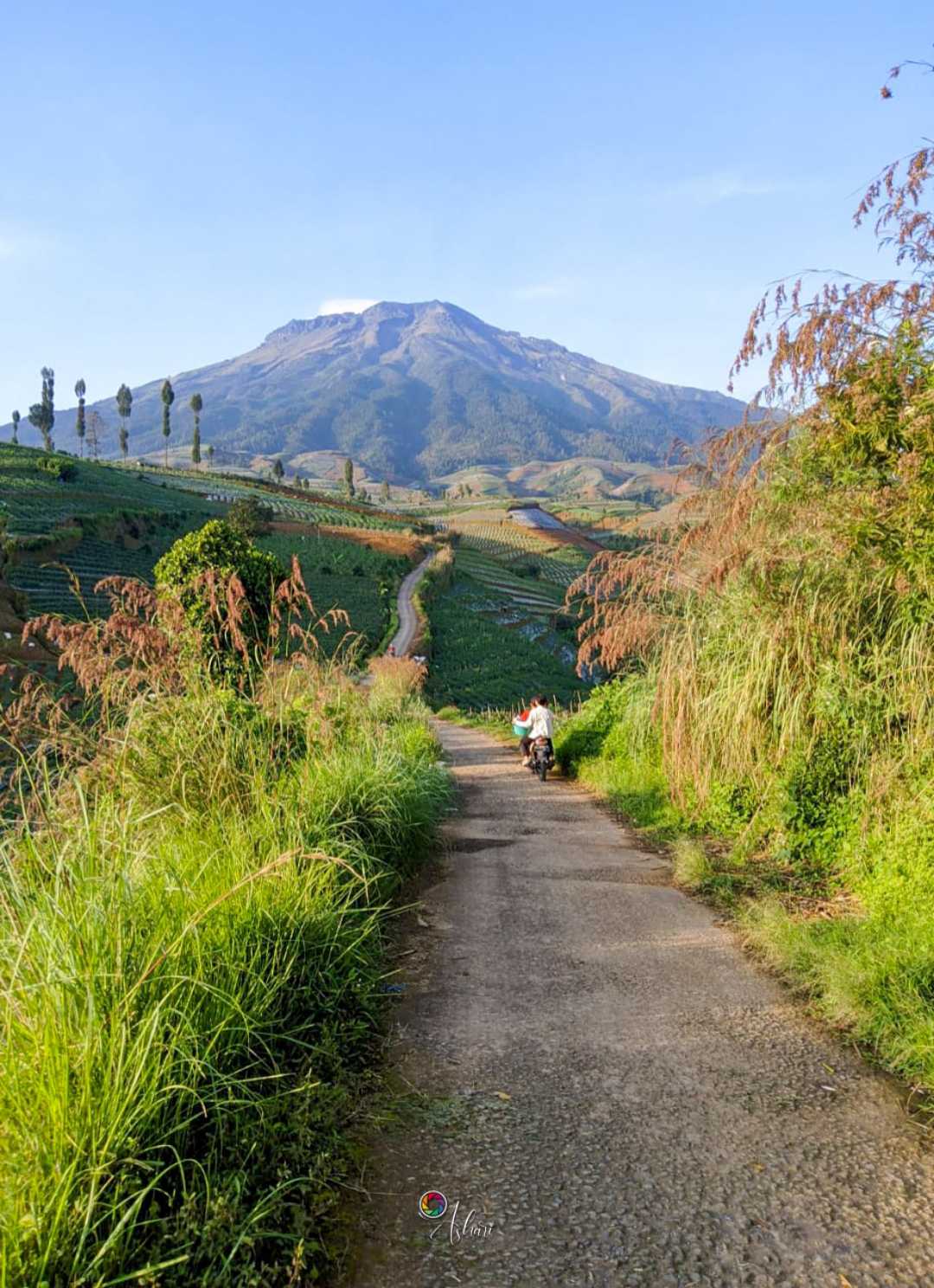 menjemput rizki