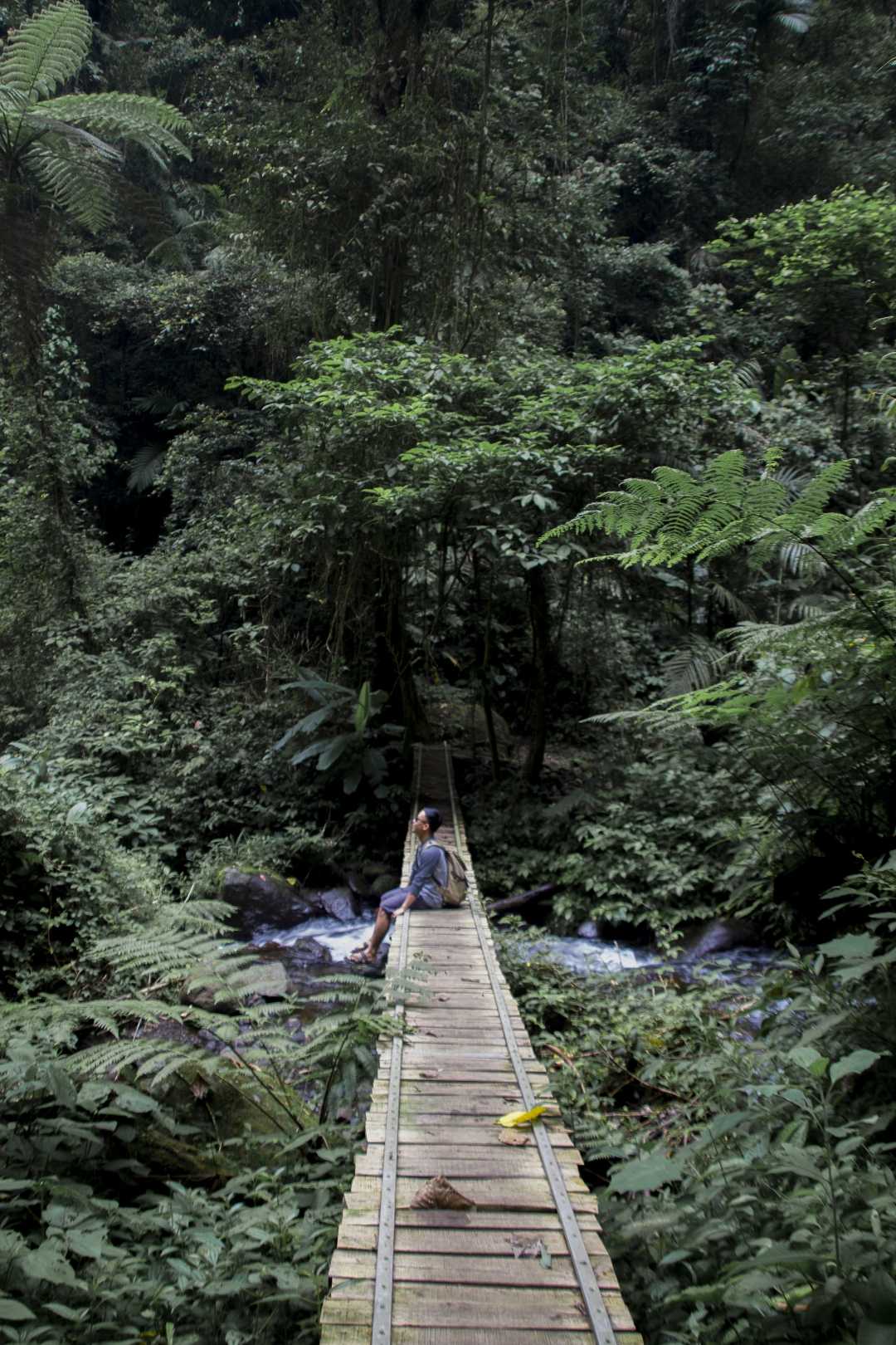 Tengah Hutan
