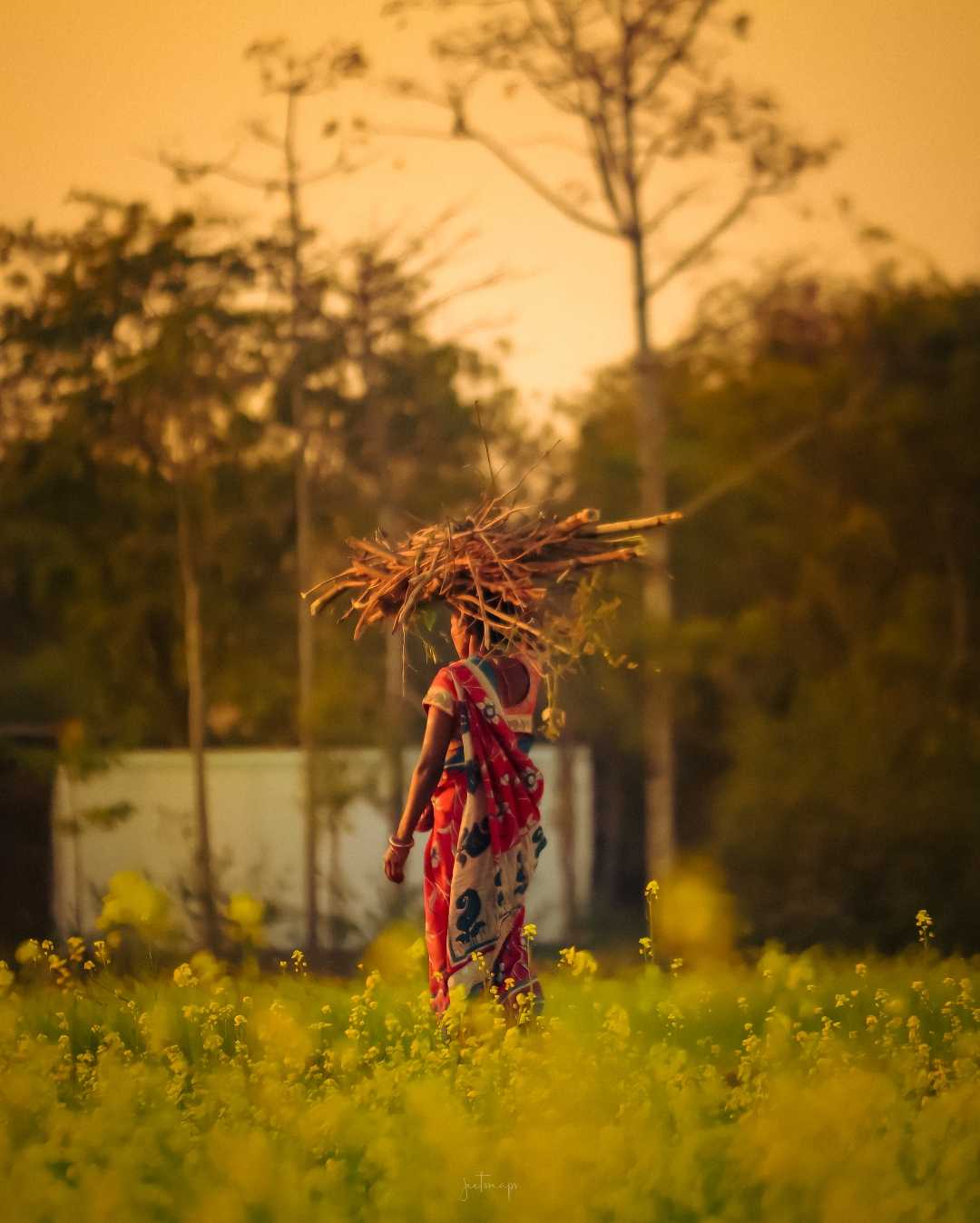 Village Life 