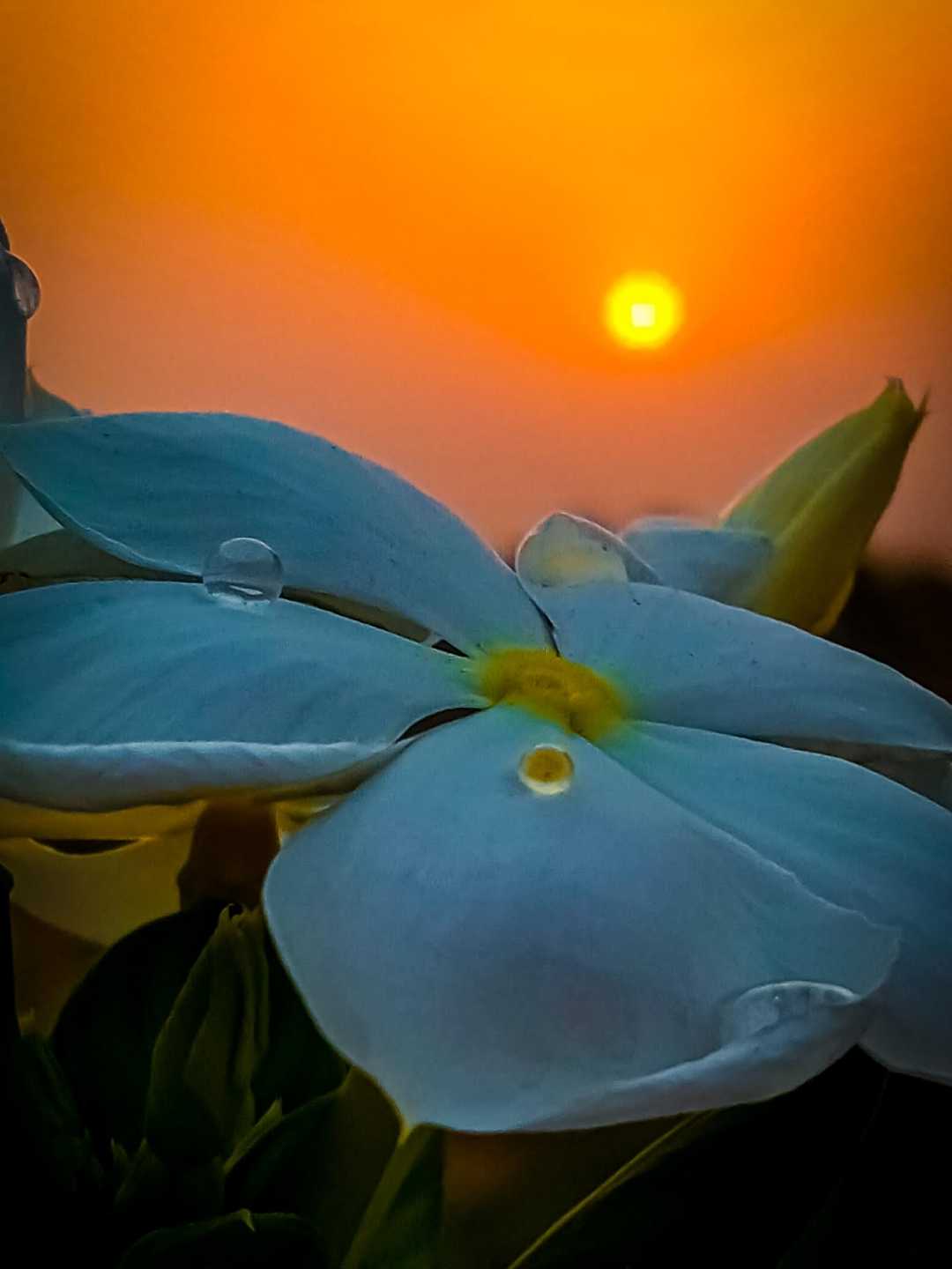 Rao Aryan Photography 