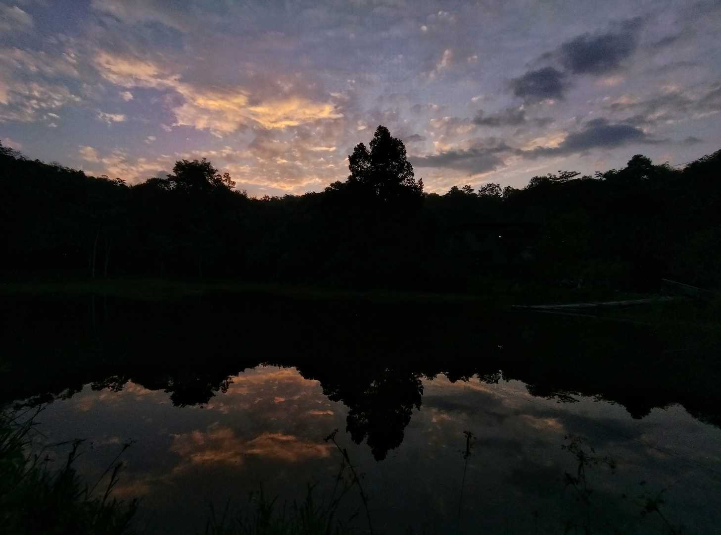Reflection