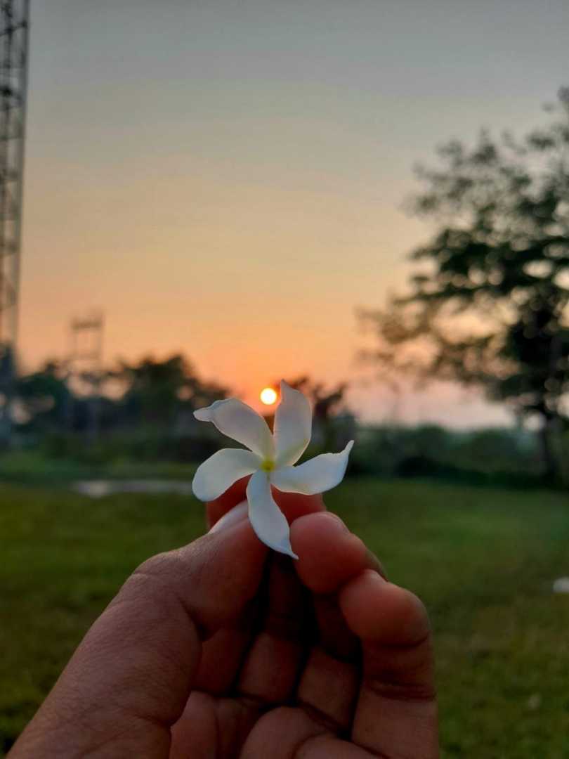 God's painted nature 💚