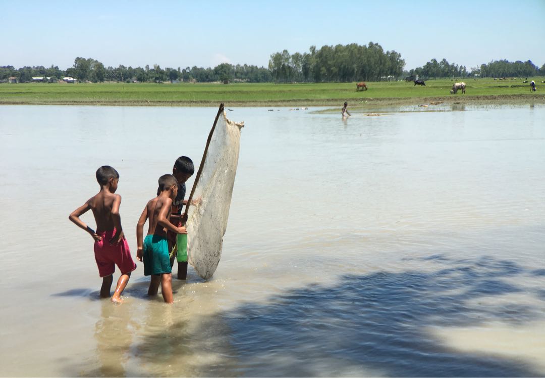 The children are fishing with nets