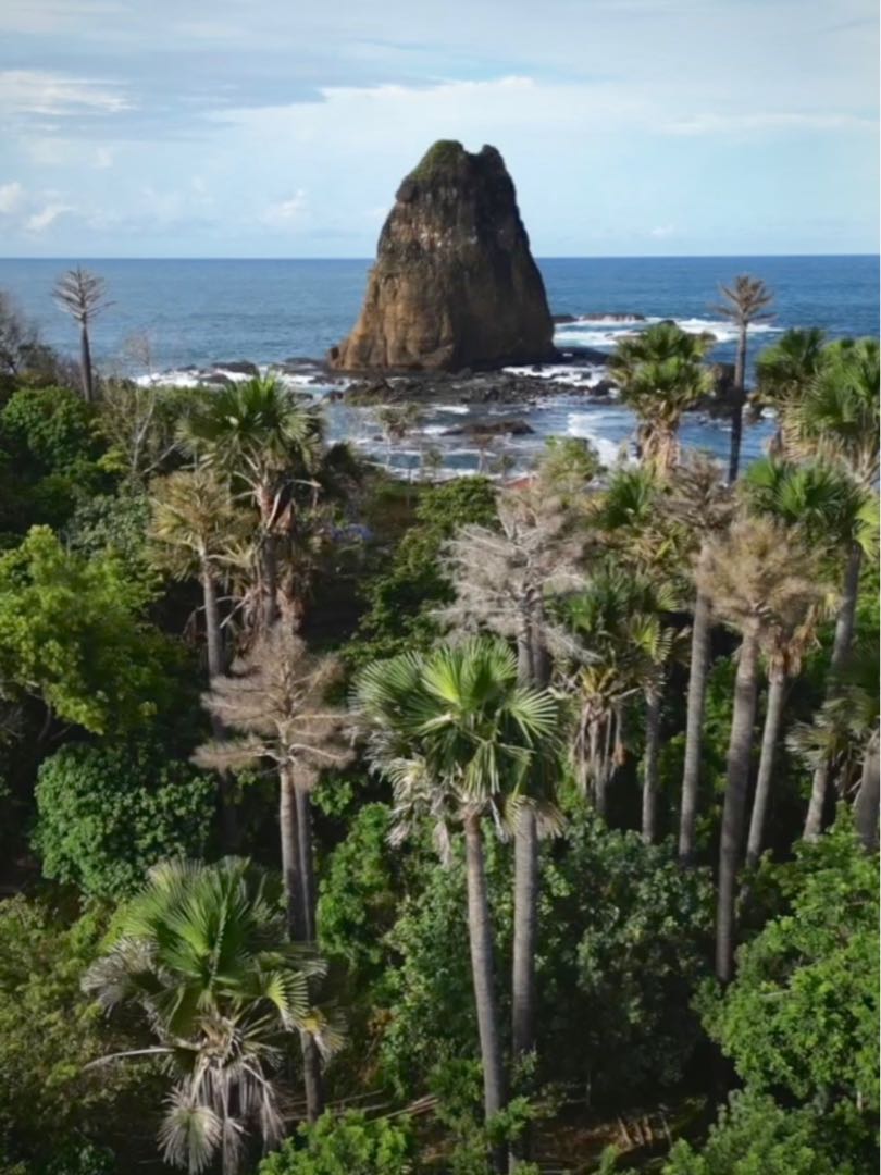 Pantai Papuma