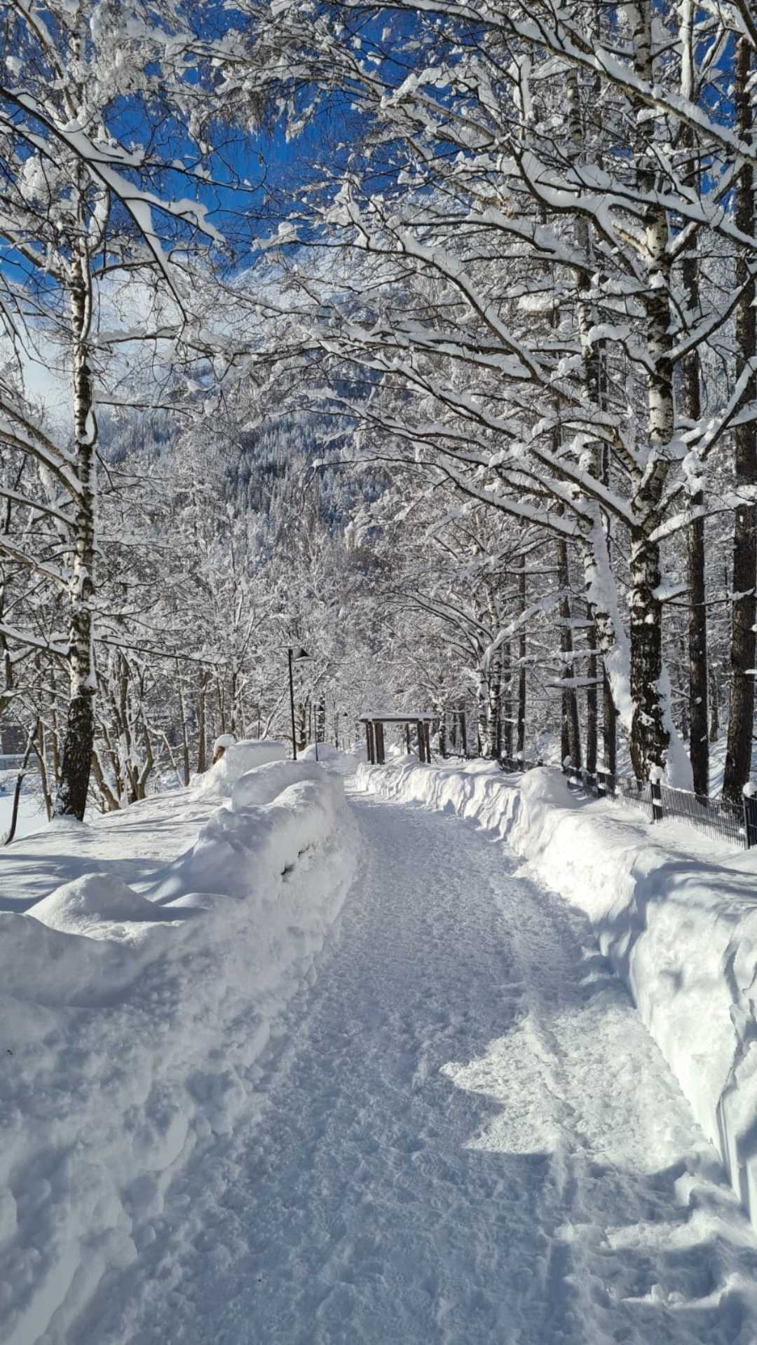 kar nekadar yakismis dogaya. 
