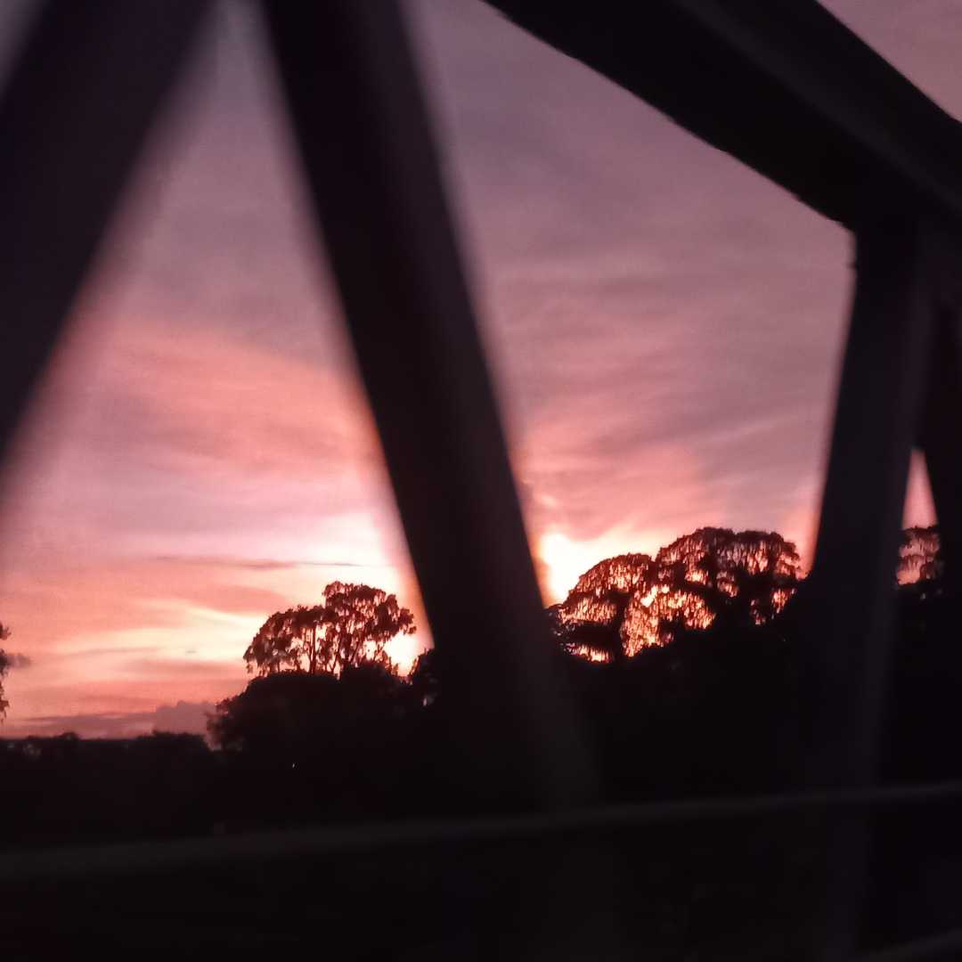 silhouette