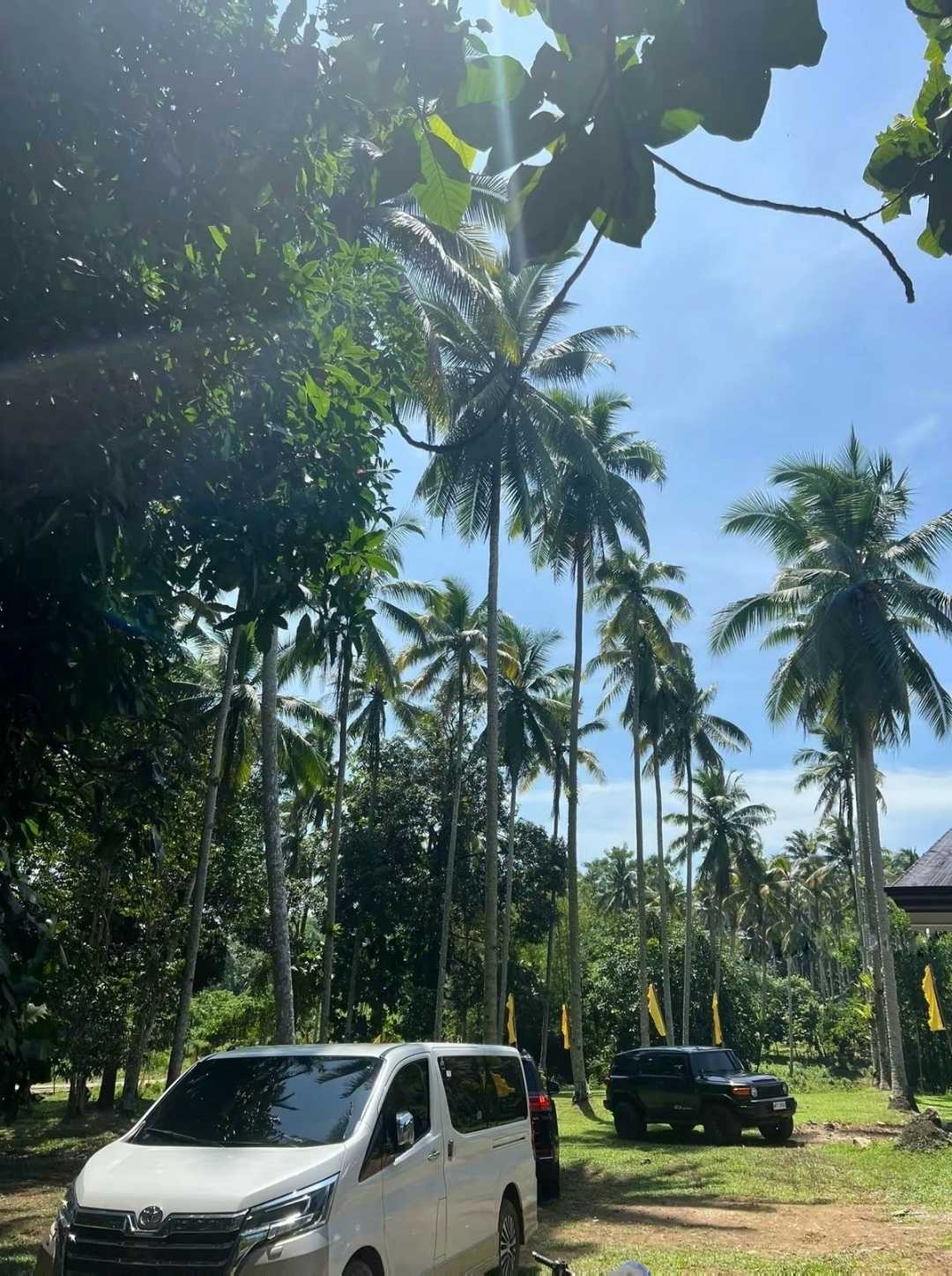 Araw