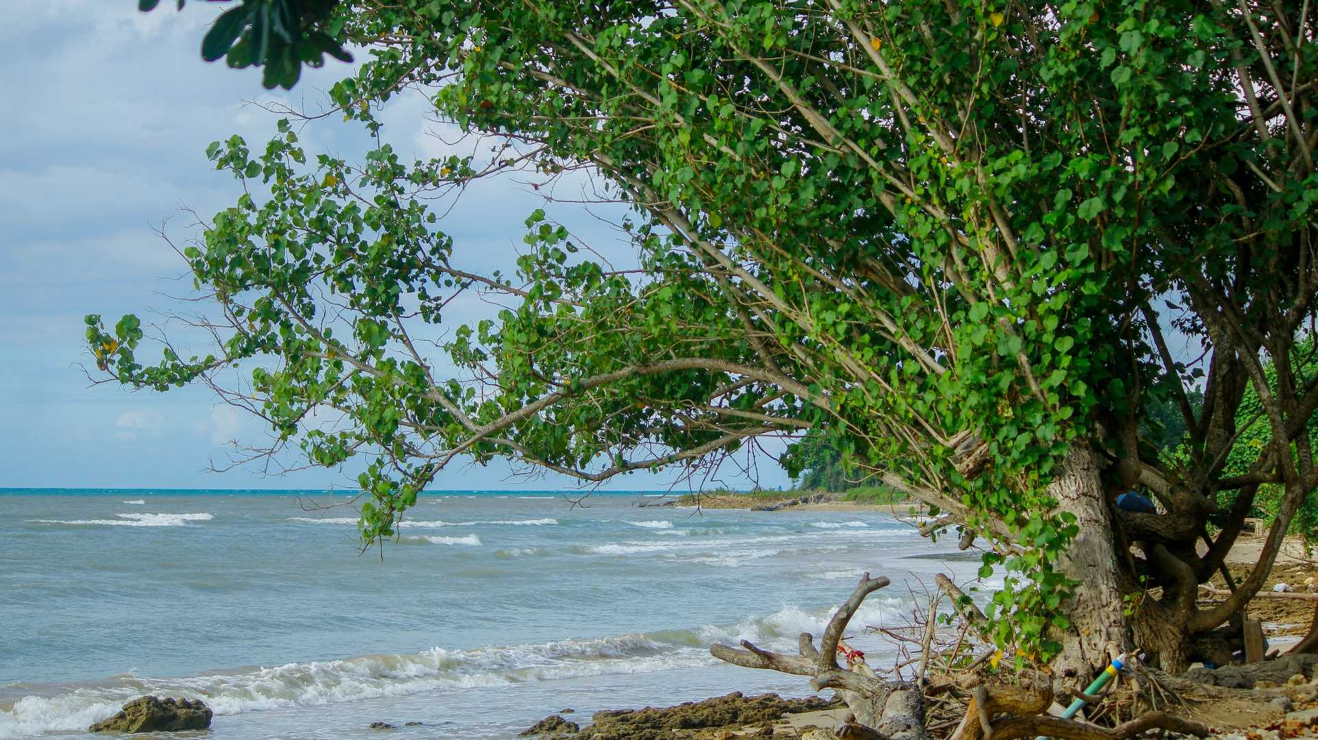 Pesisir