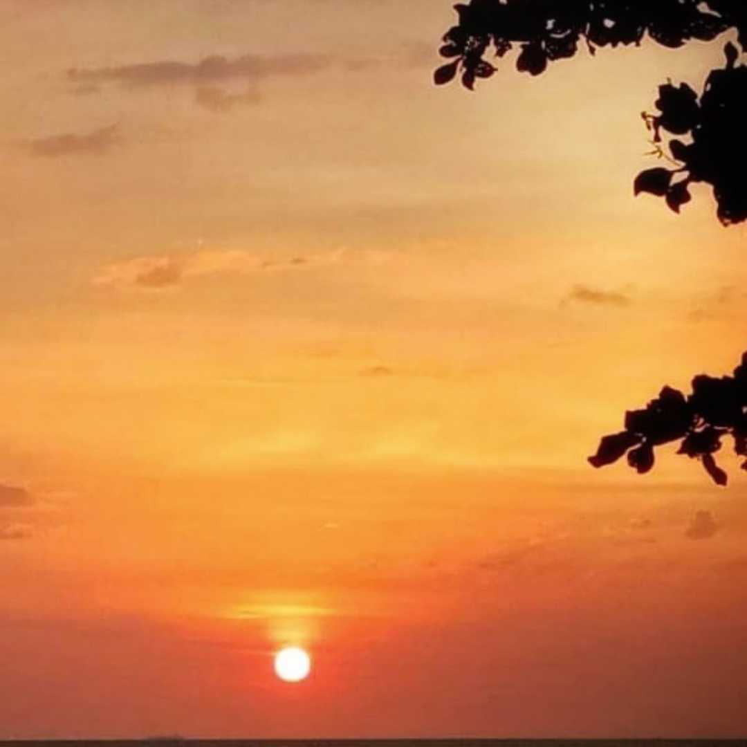 SENJA 