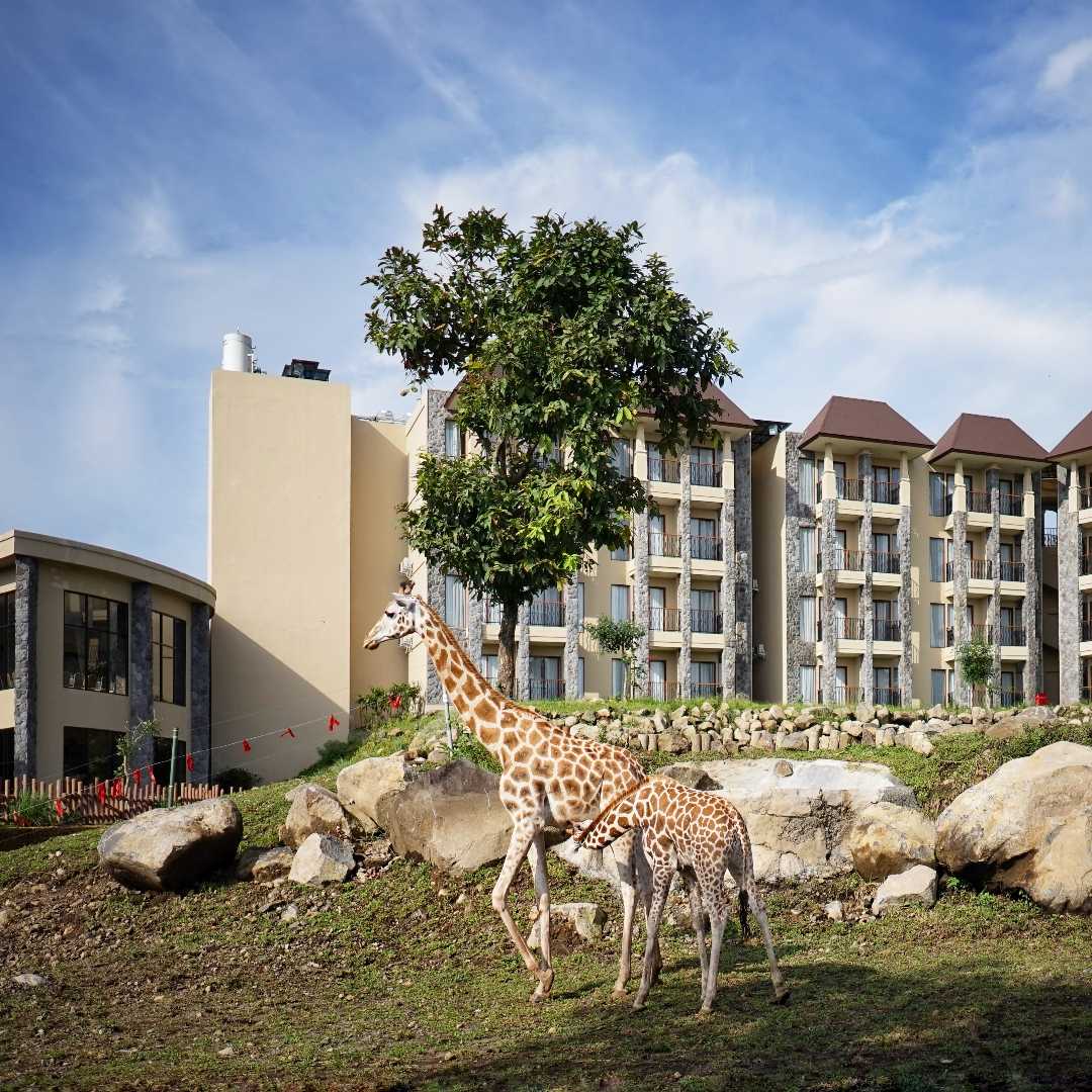 Baobab  Safari Resort