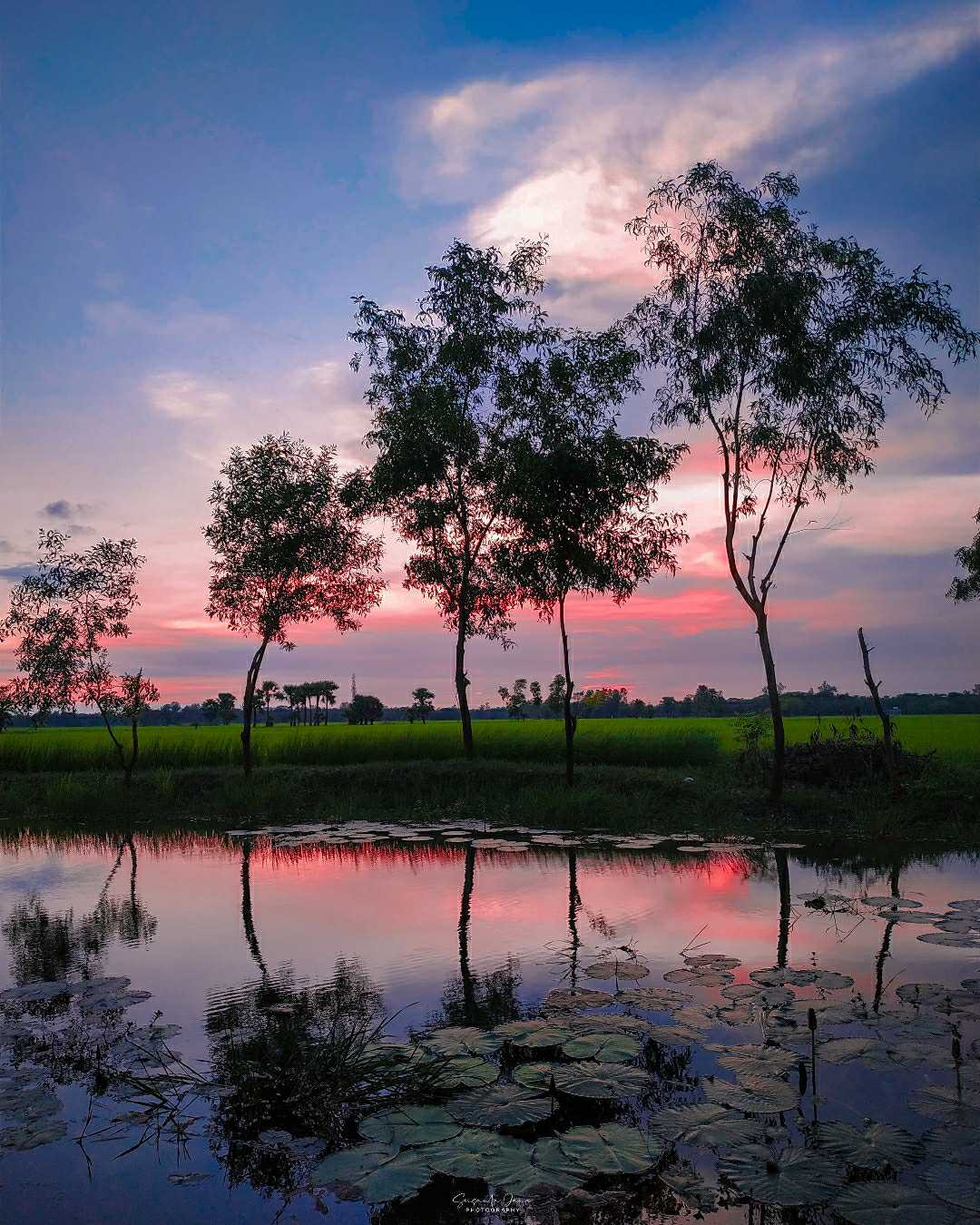 beauty of sunset....