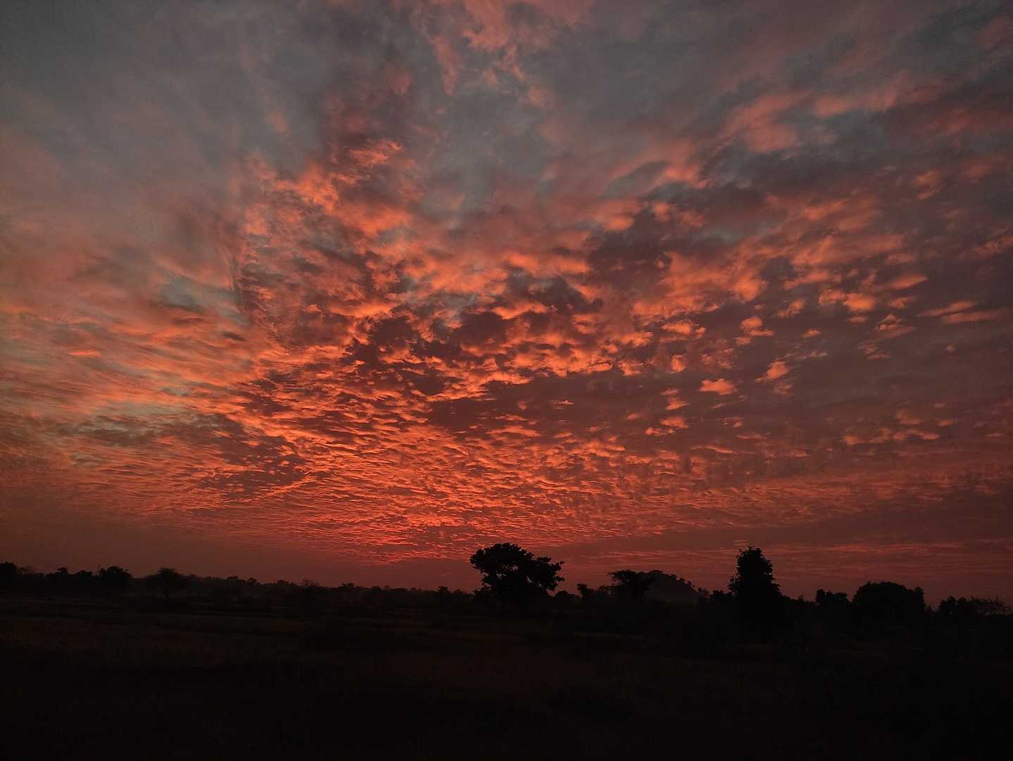 Evening Sky... 