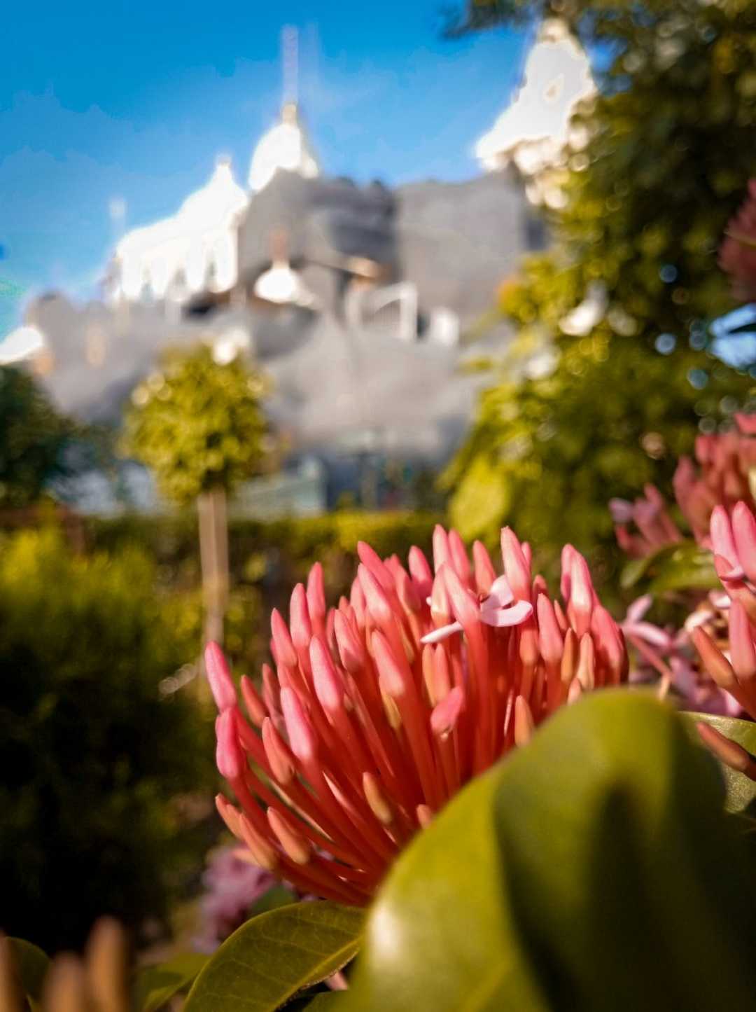 Temple