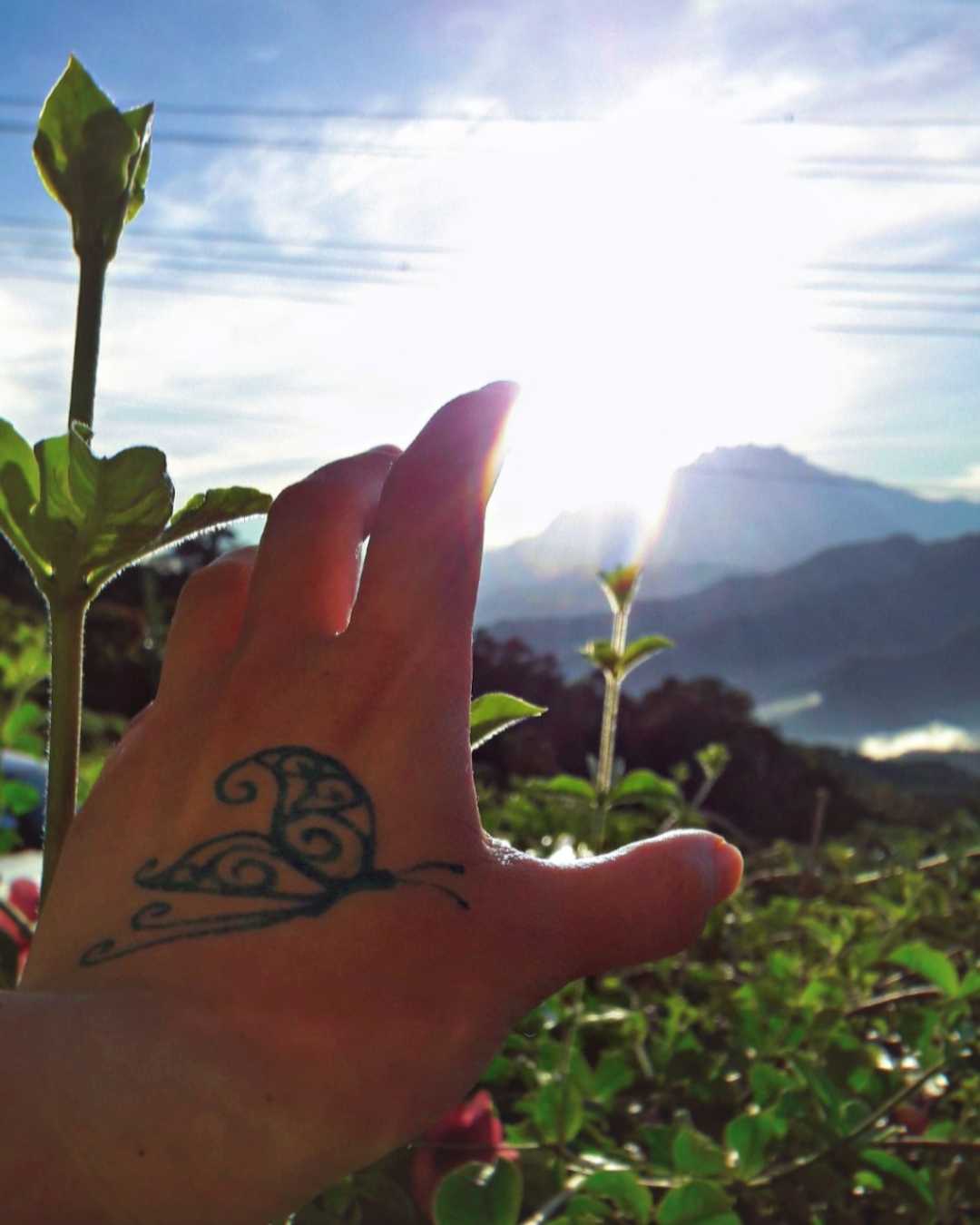 • Catching Sunrise •