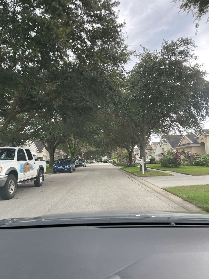 Neighborhood 