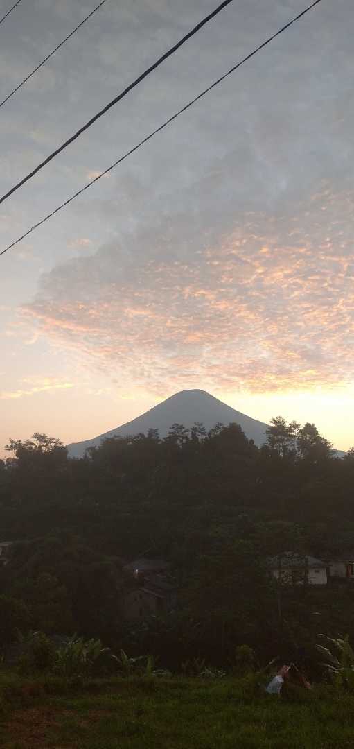 tiap pagi menyapaku