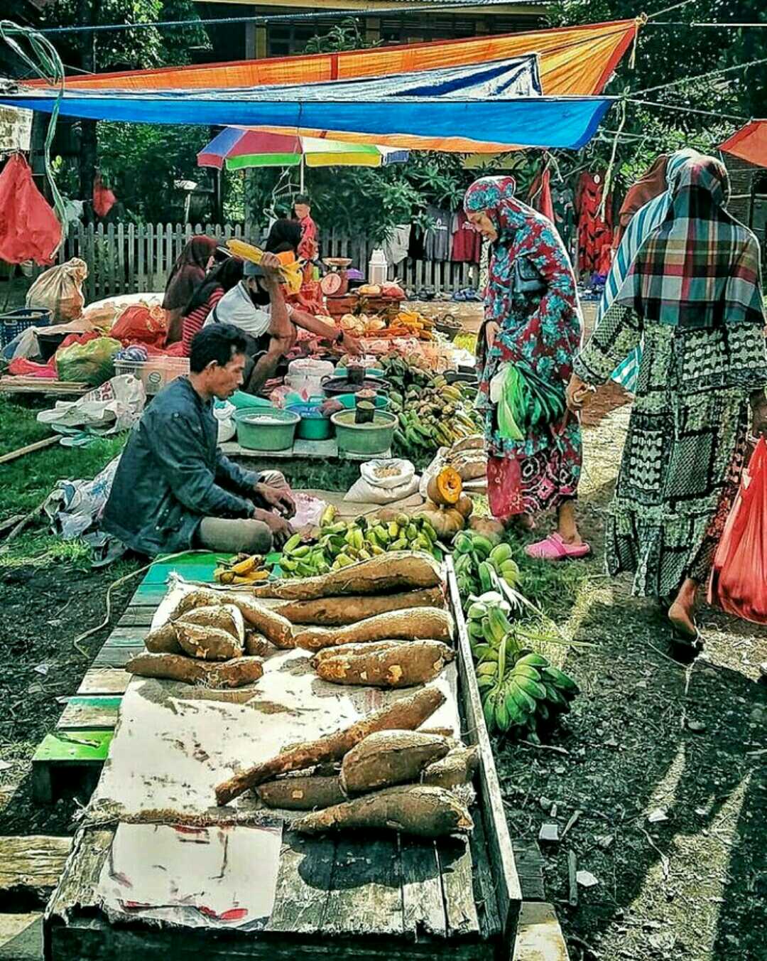 Rural Life