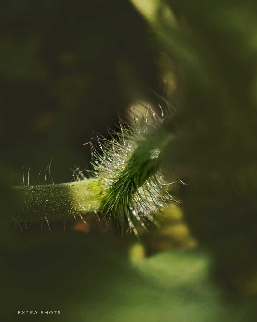 beautiful nature🌱