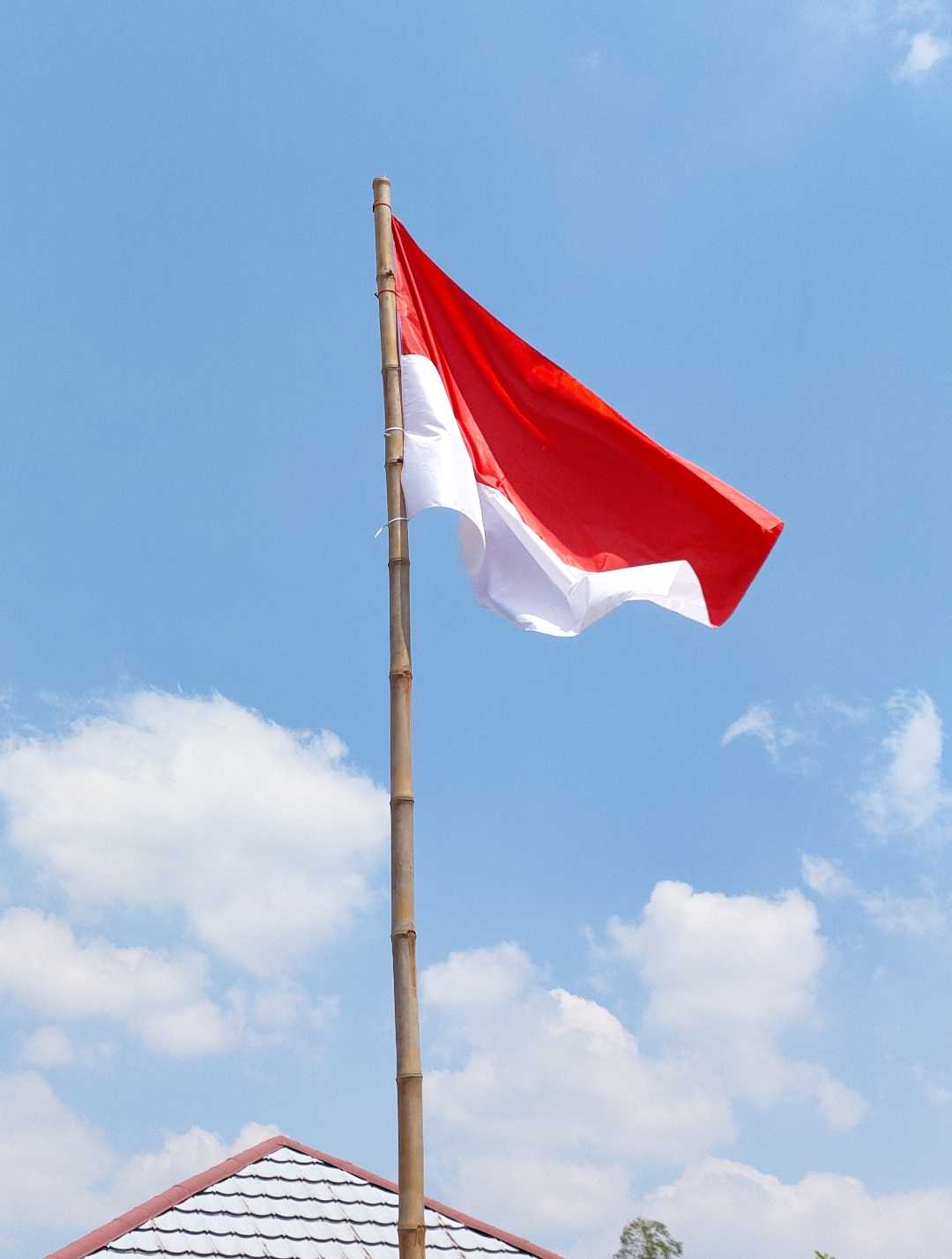 bendera merah putih 