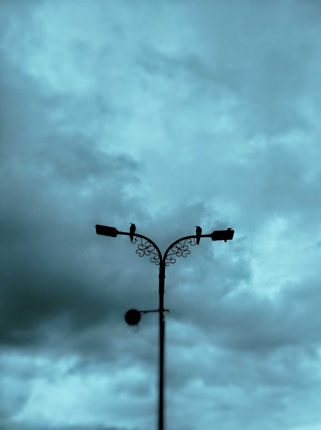 evening time