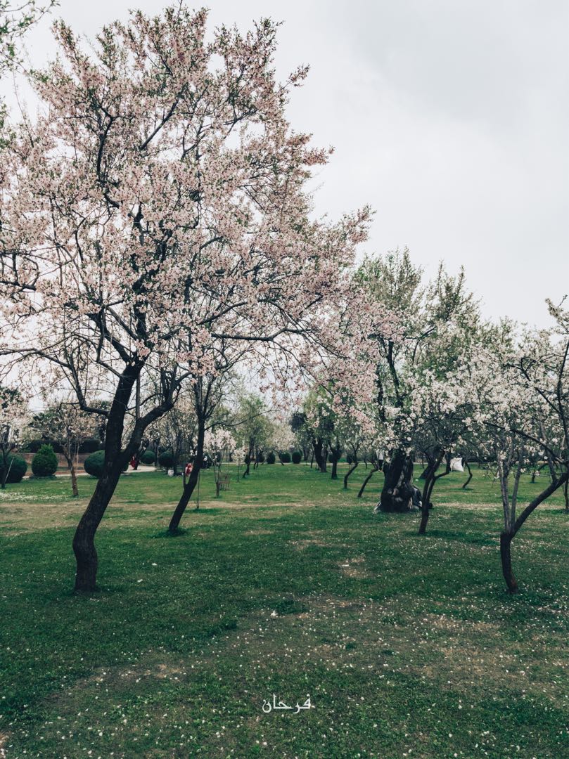 Spring