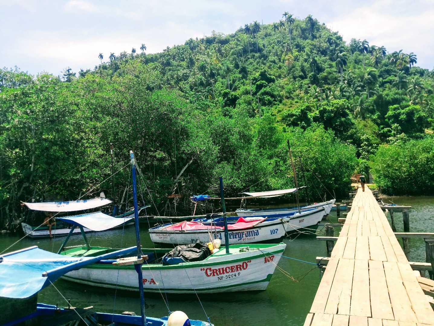 puente de boca de miel