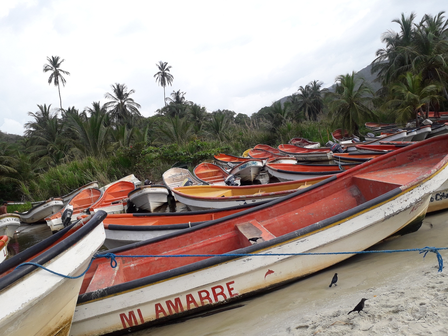 arrival of the boats in Chuao