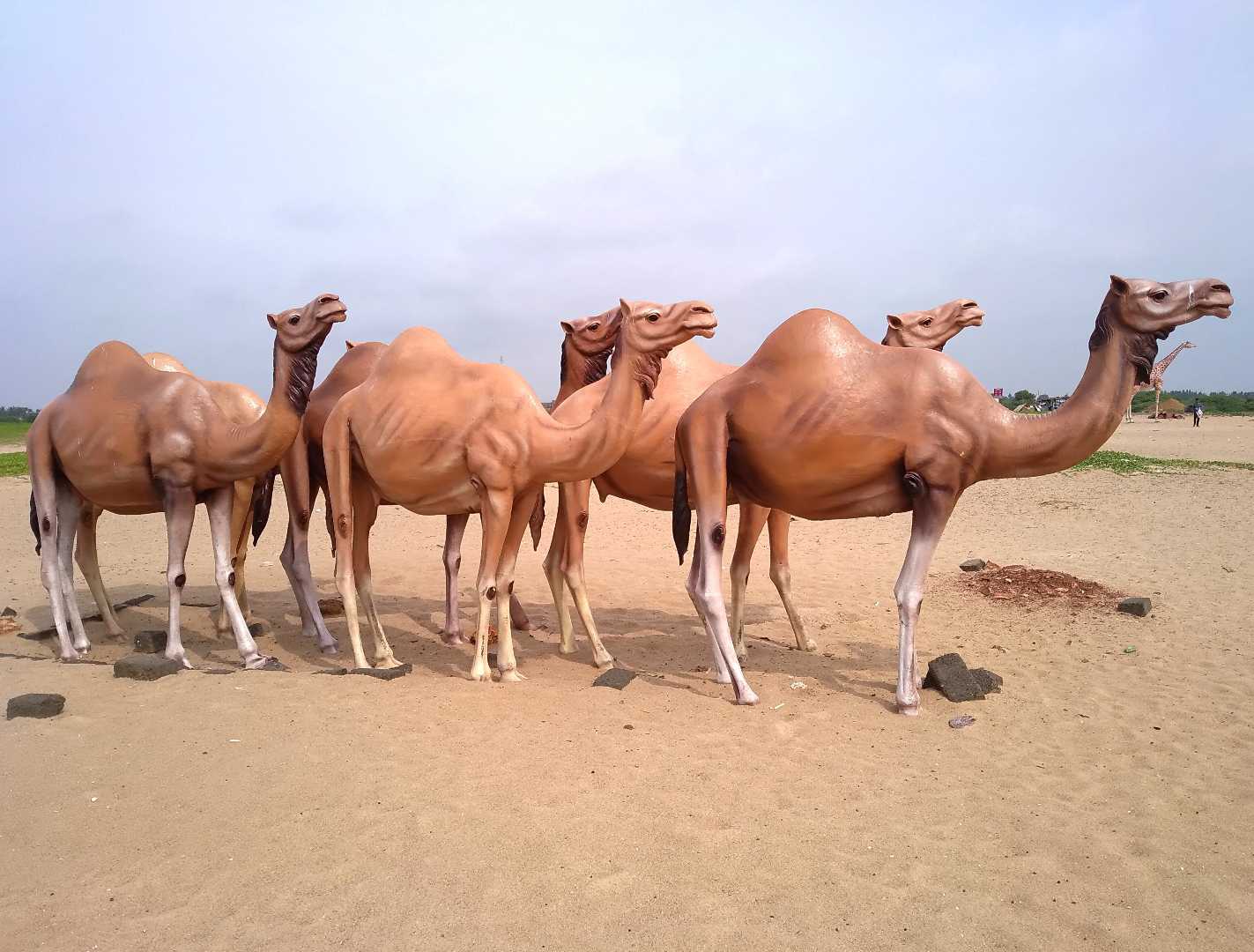 Kalingapatnam beach