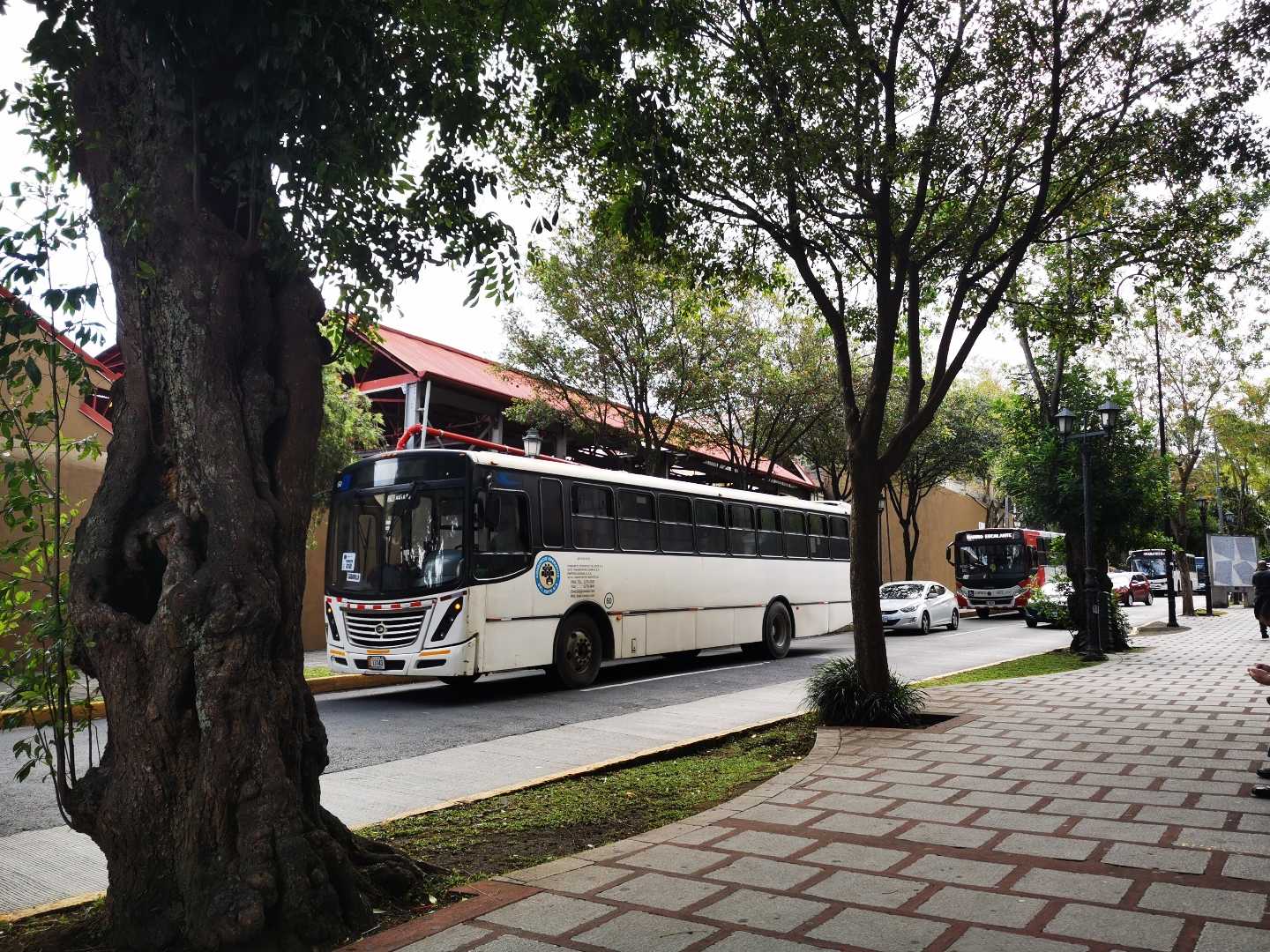 Calles de la Capital San José 
