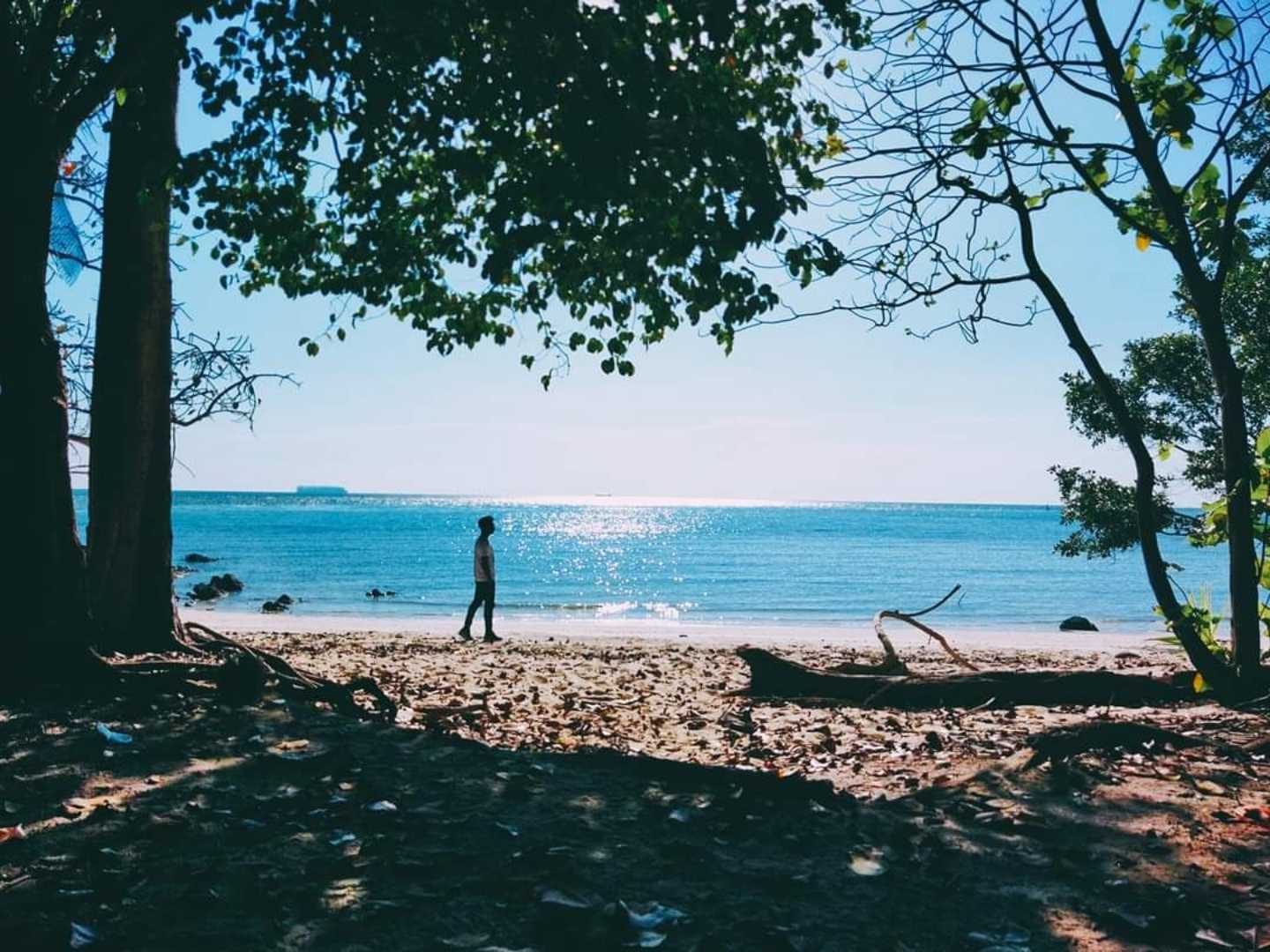 Tanjung Tuan