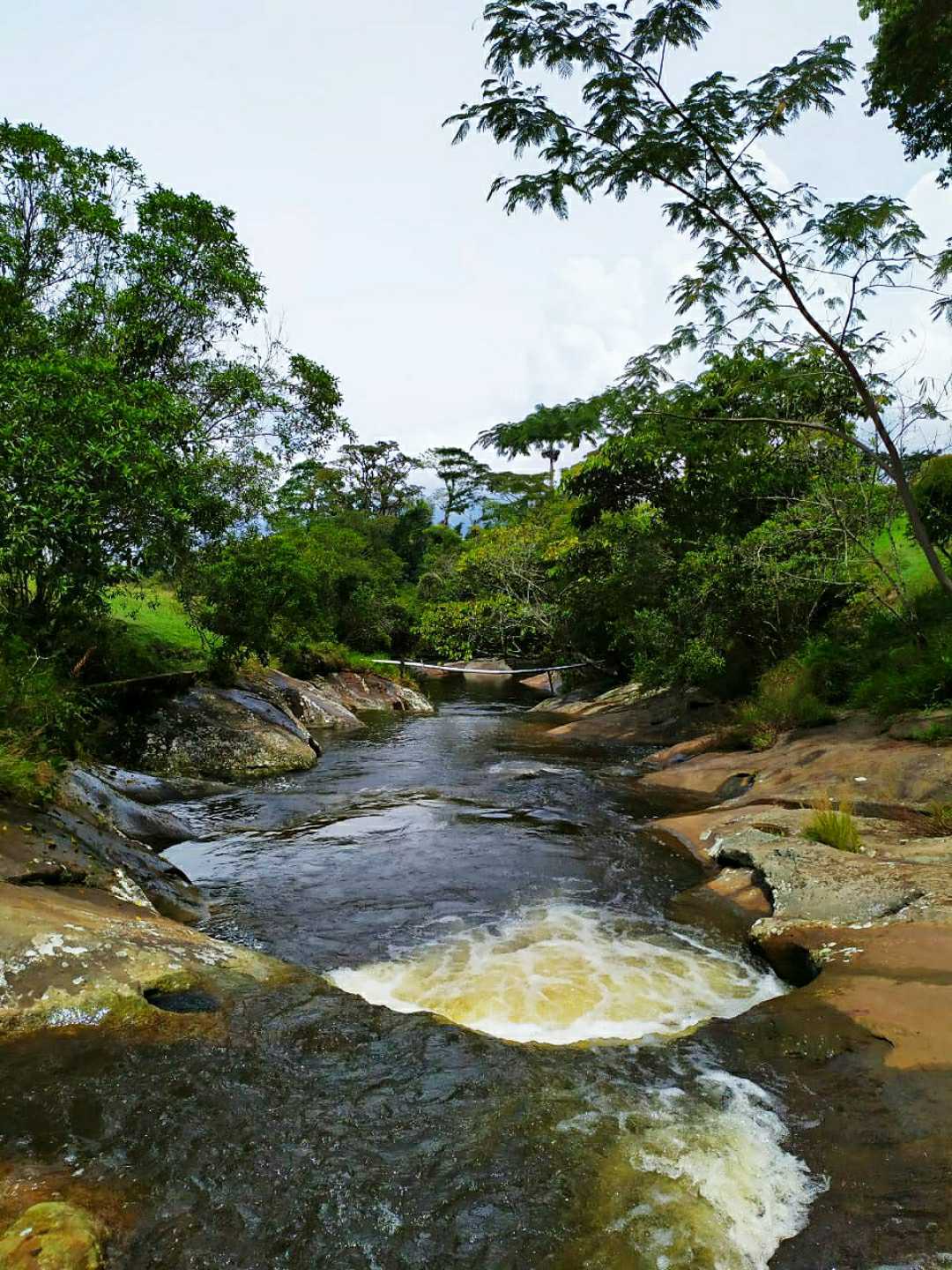 Lajas de mi tierra🌍
