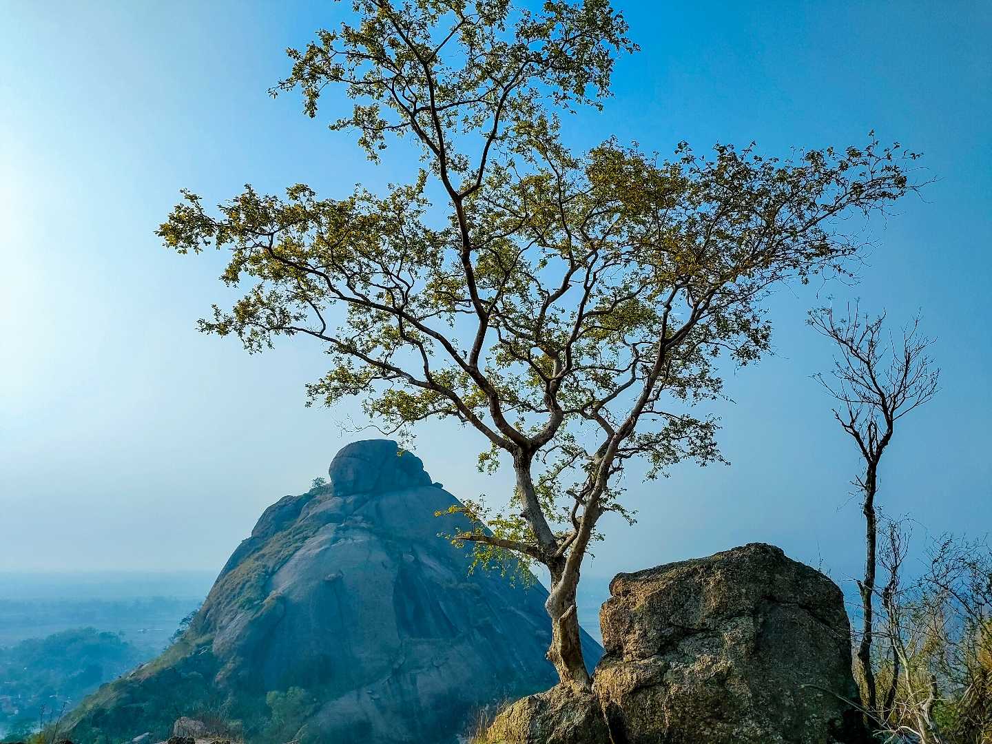 Landscape 