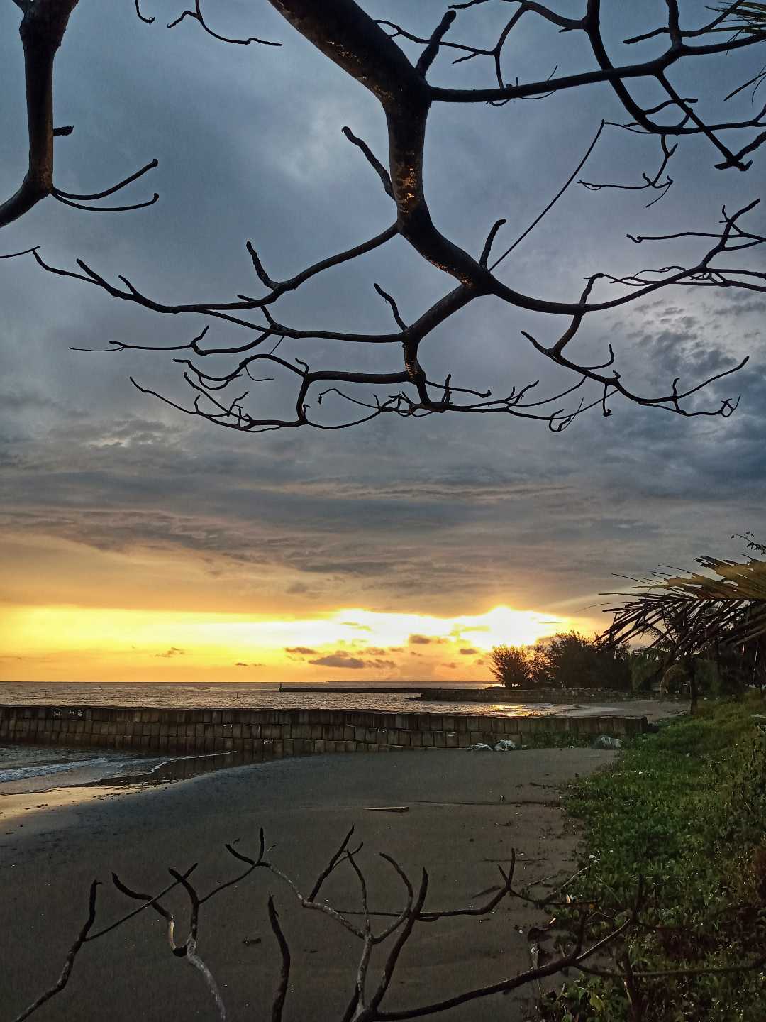 Senja