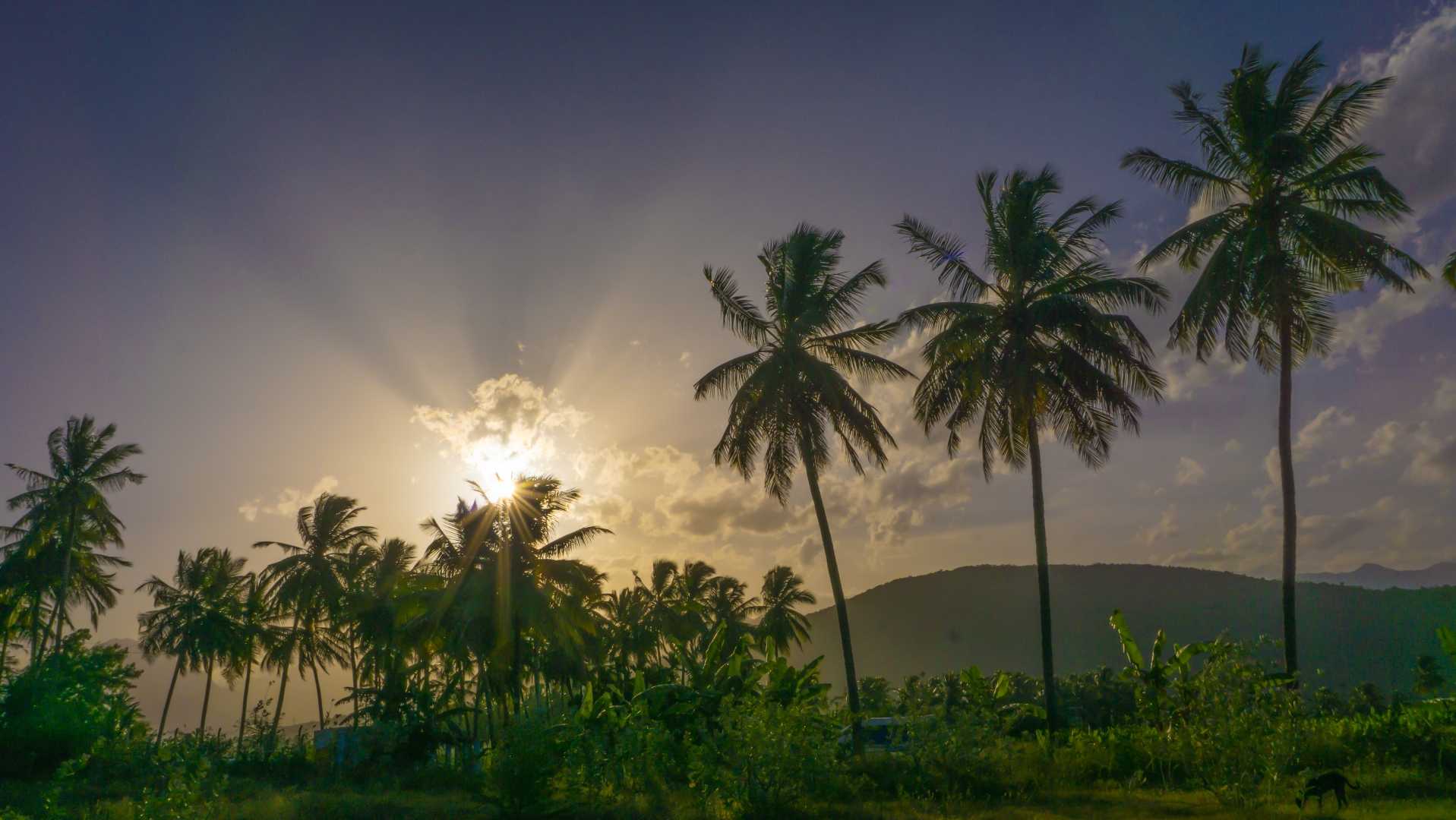 Mother nature is at her own beauty.