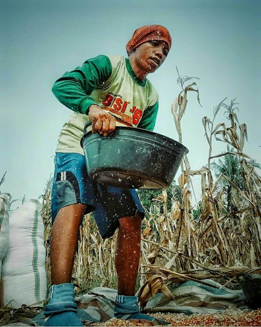 Rural Life