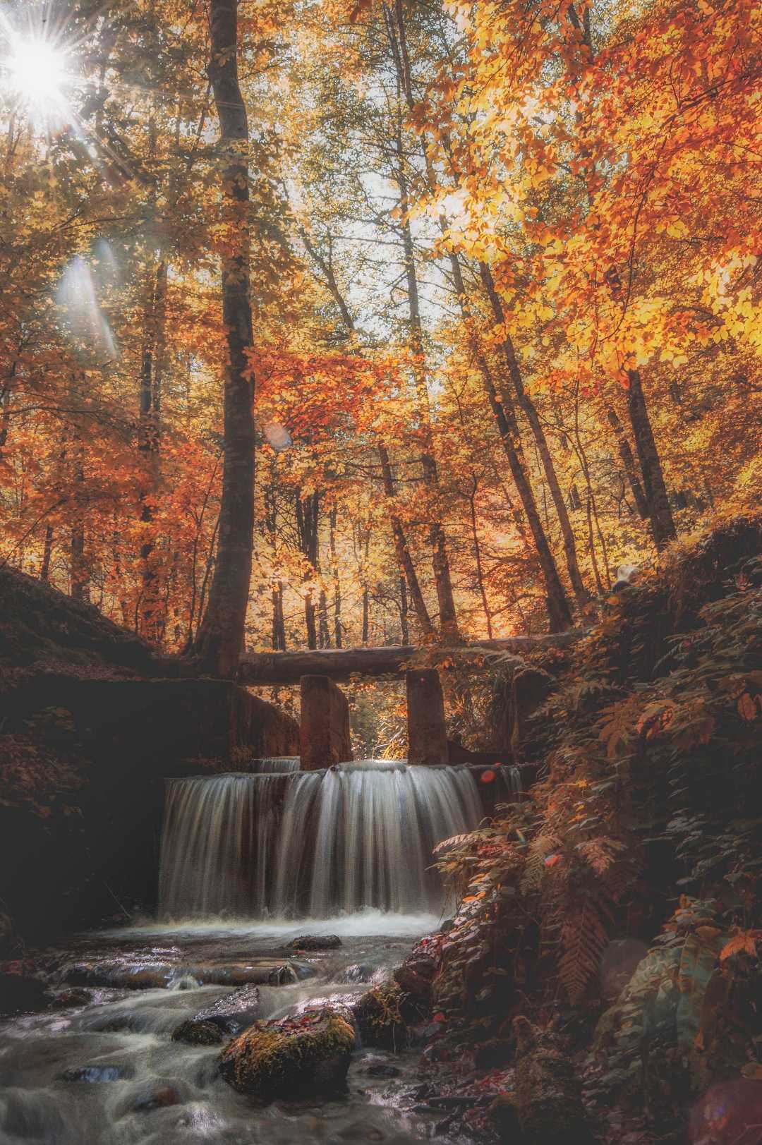 Yedigöller'de sonbahar 🍂🍁