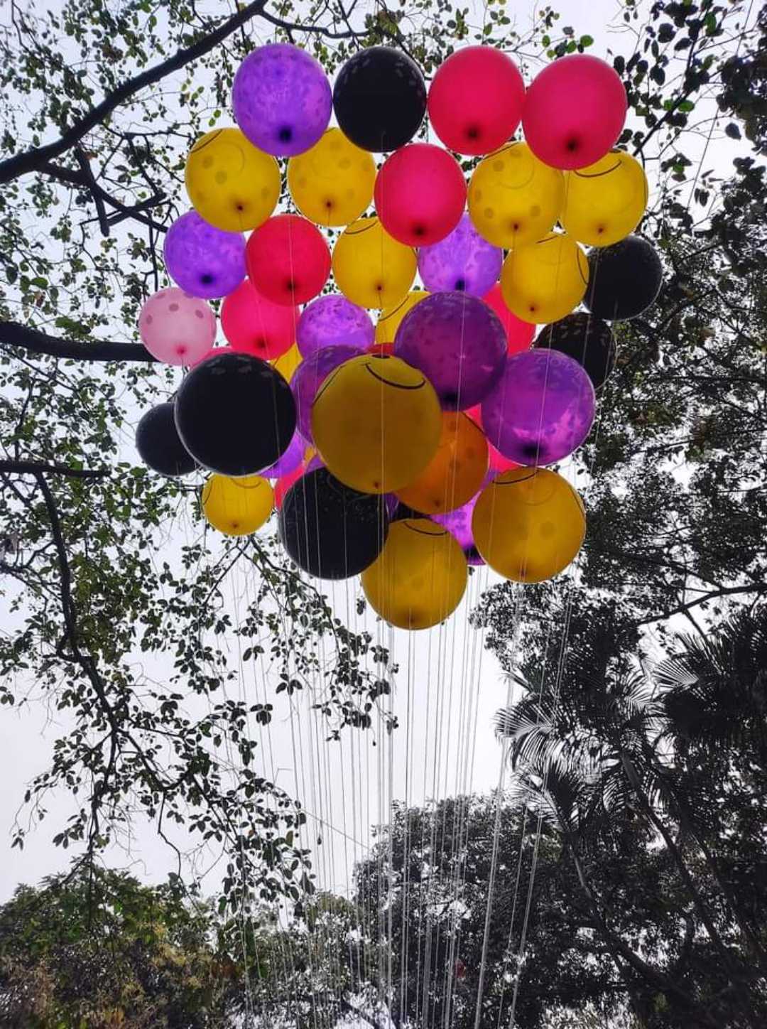 #pindle #india #coolpartha #nature #fastival