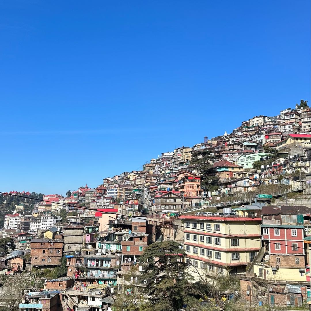 Shimla