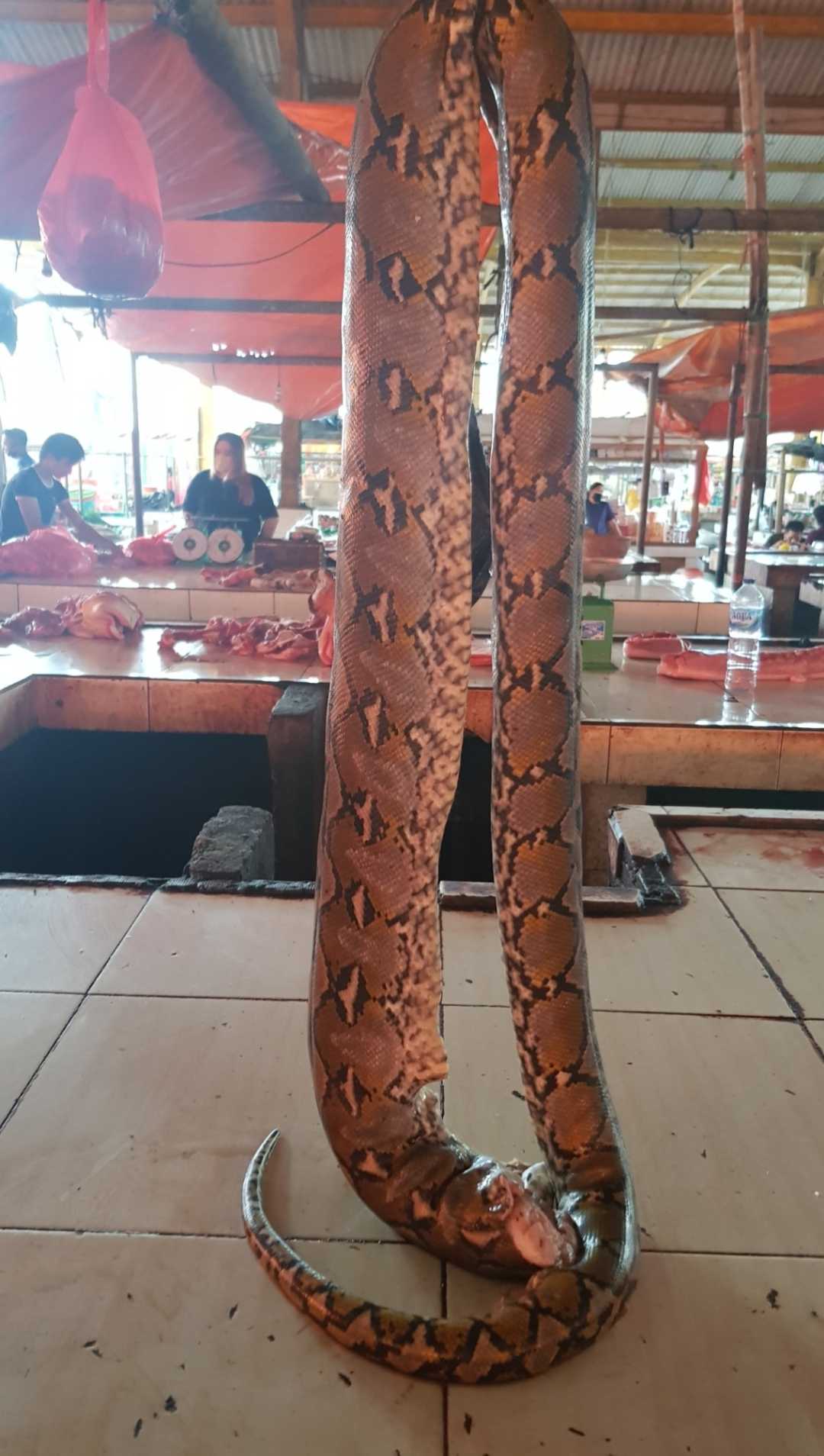 Extreme Market